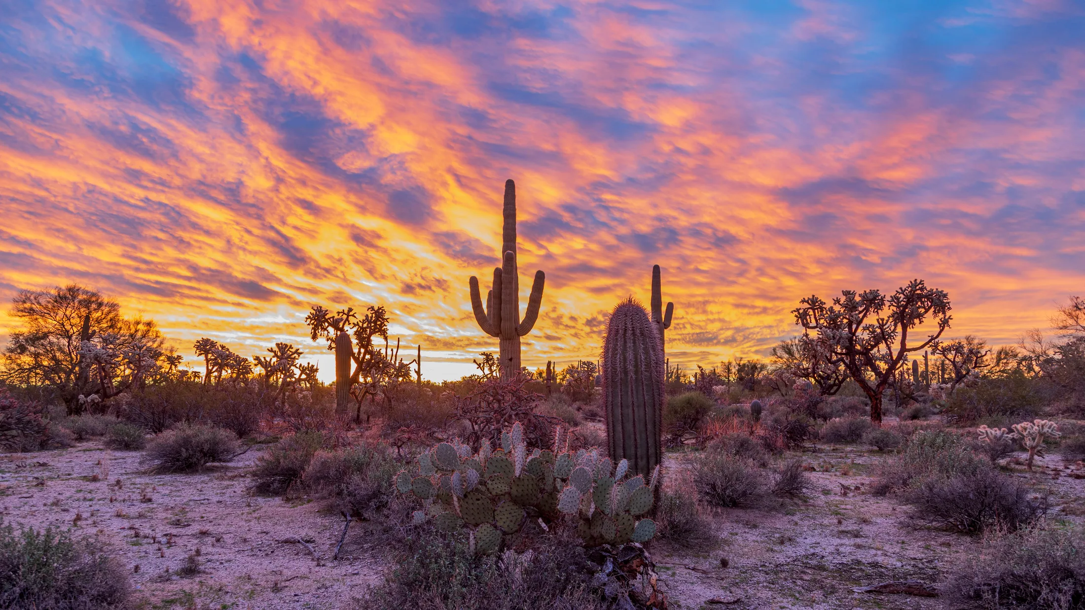 Florence Kelvin Highway Sunrise, sunset and sunrise, a fine art photograph by Michael Joseph Baca