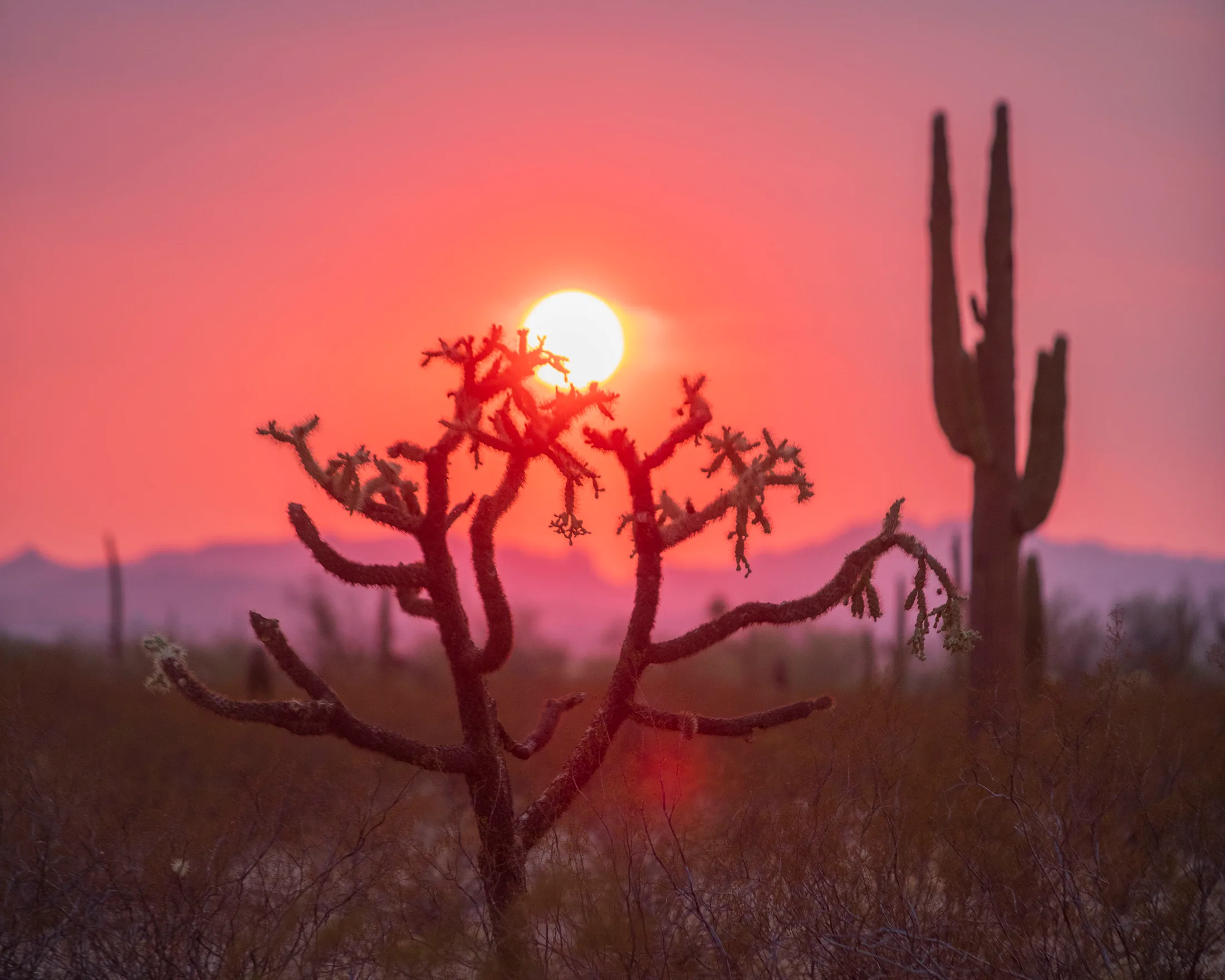 Florence Kelvin Hwy Florence AZ, sunset and sunrise, a fine art photograph by Michael Joseph Baca