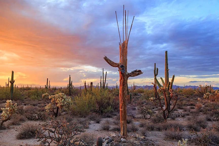 Florence Kelvin Hwy, sunset and sunrise, a fine art photograph by Janell Evelyn Baca, Casa de Baca Studios, Florence, Arizona