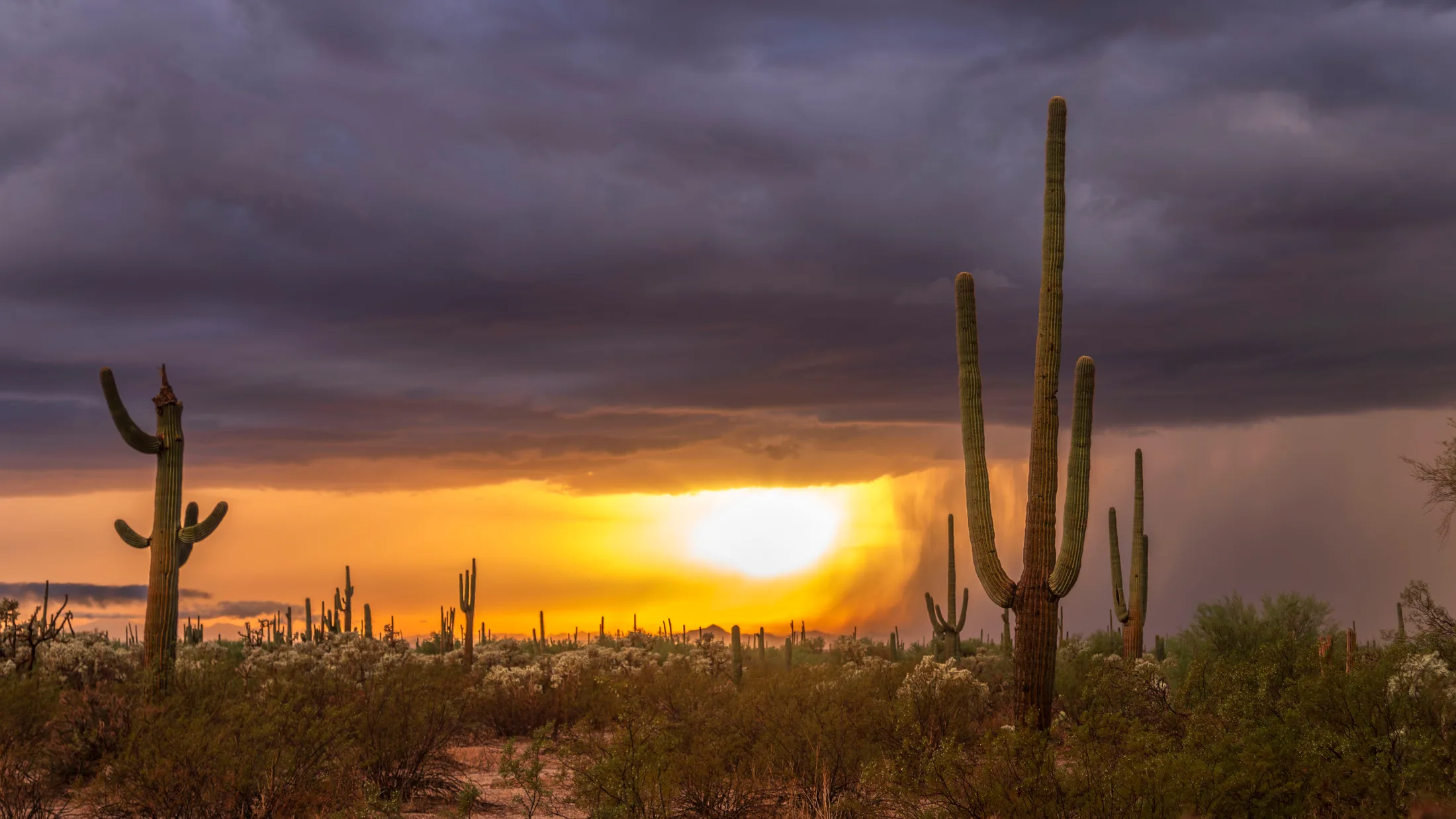 Florence, lightning, a fine art photograph by Michael Joseph Baca, Casa de Baca Studios, Florence, Arizona