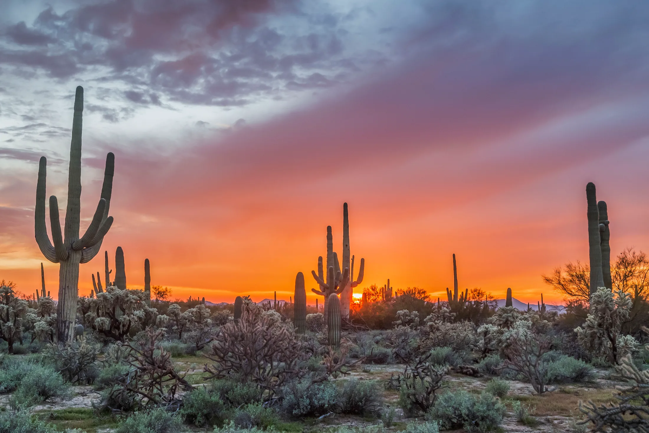 Freeman Rd Florence, sunset and sunrise, a fine art photograph by Michael Joseph Baca