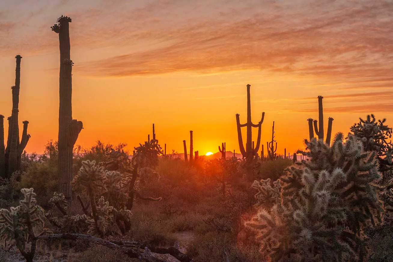 Golden Orange Sunset off Florence Kelvin Hwy, a fine art photograph by Janell Evelyn Baca