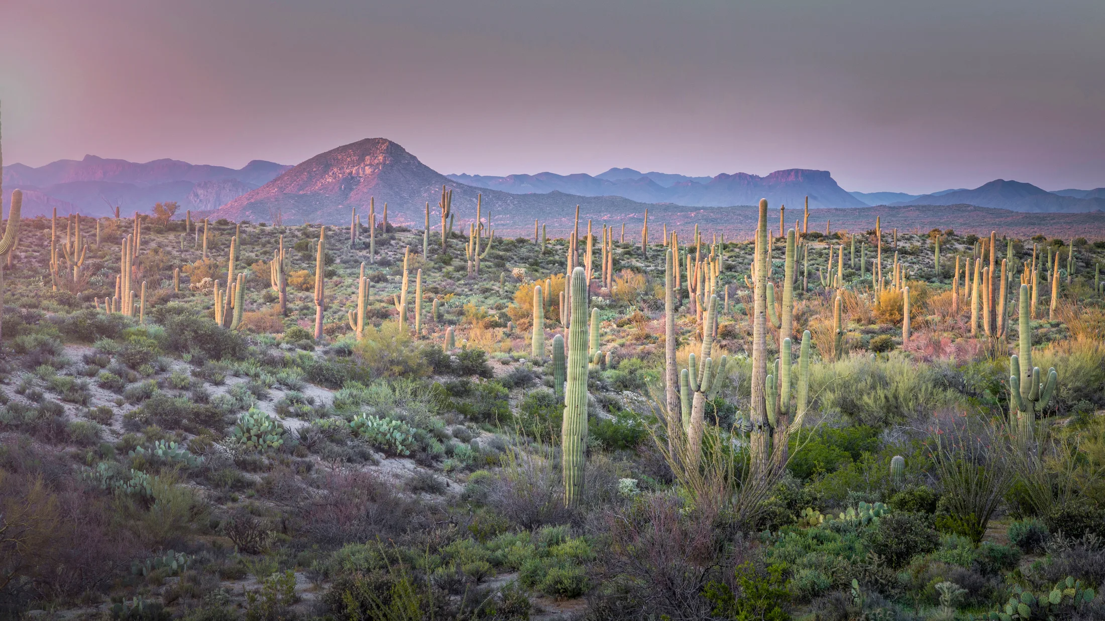 Grayback Mountain Florence AZ, landscape, a fine art photograph by Michael Joseph Baca