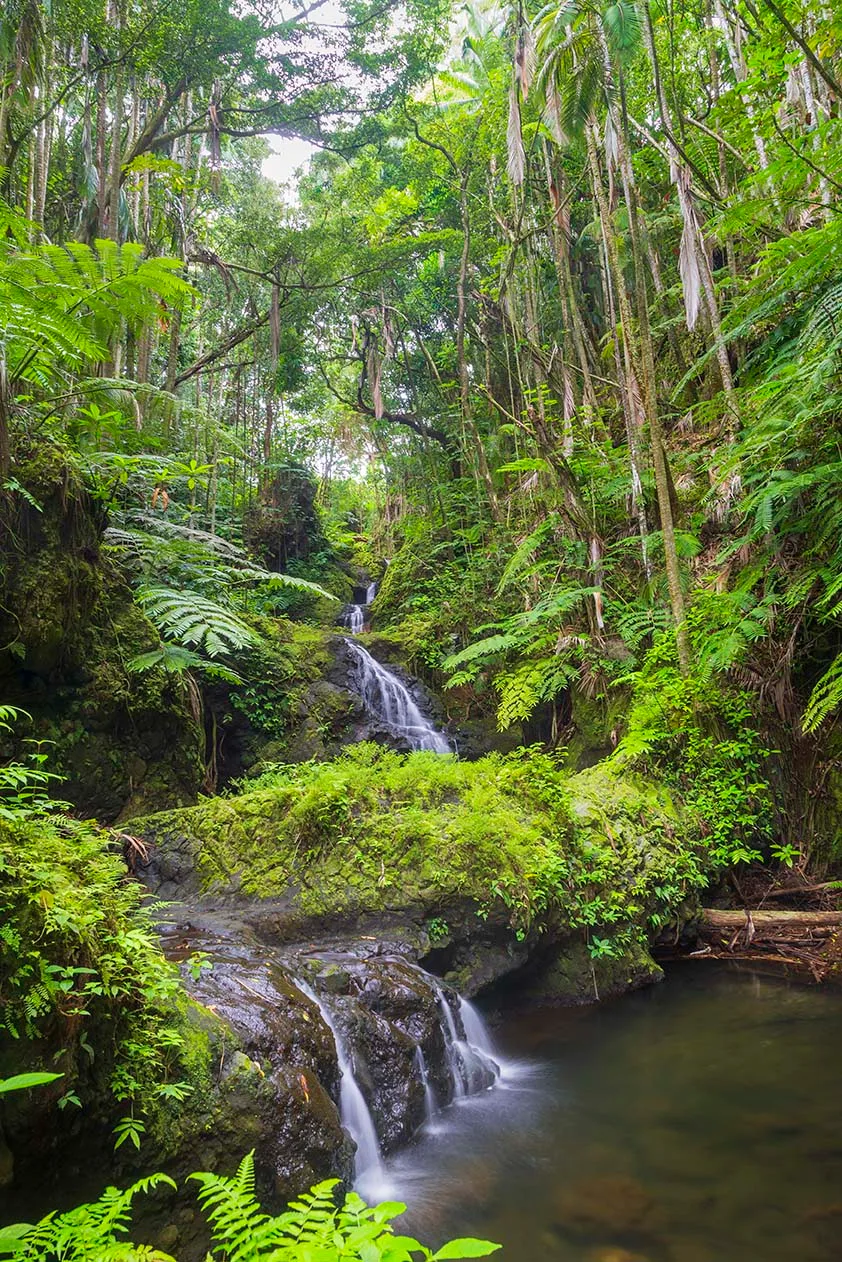 Hawaii Tropical Bioreserve and Garden waterfall, ocean and lake and river and pier, a fine art photograph