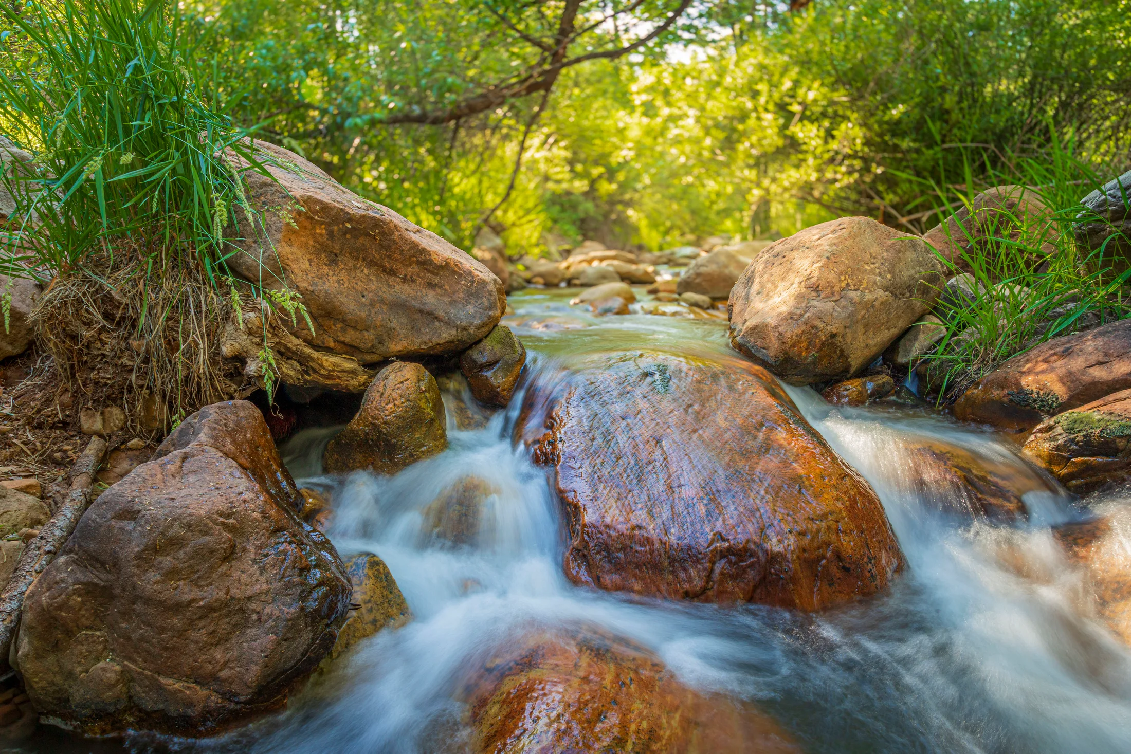 Horton Creek Payson AZ, ocean and lake and river and pier, a fine art photograph by Michael Joseph Baca