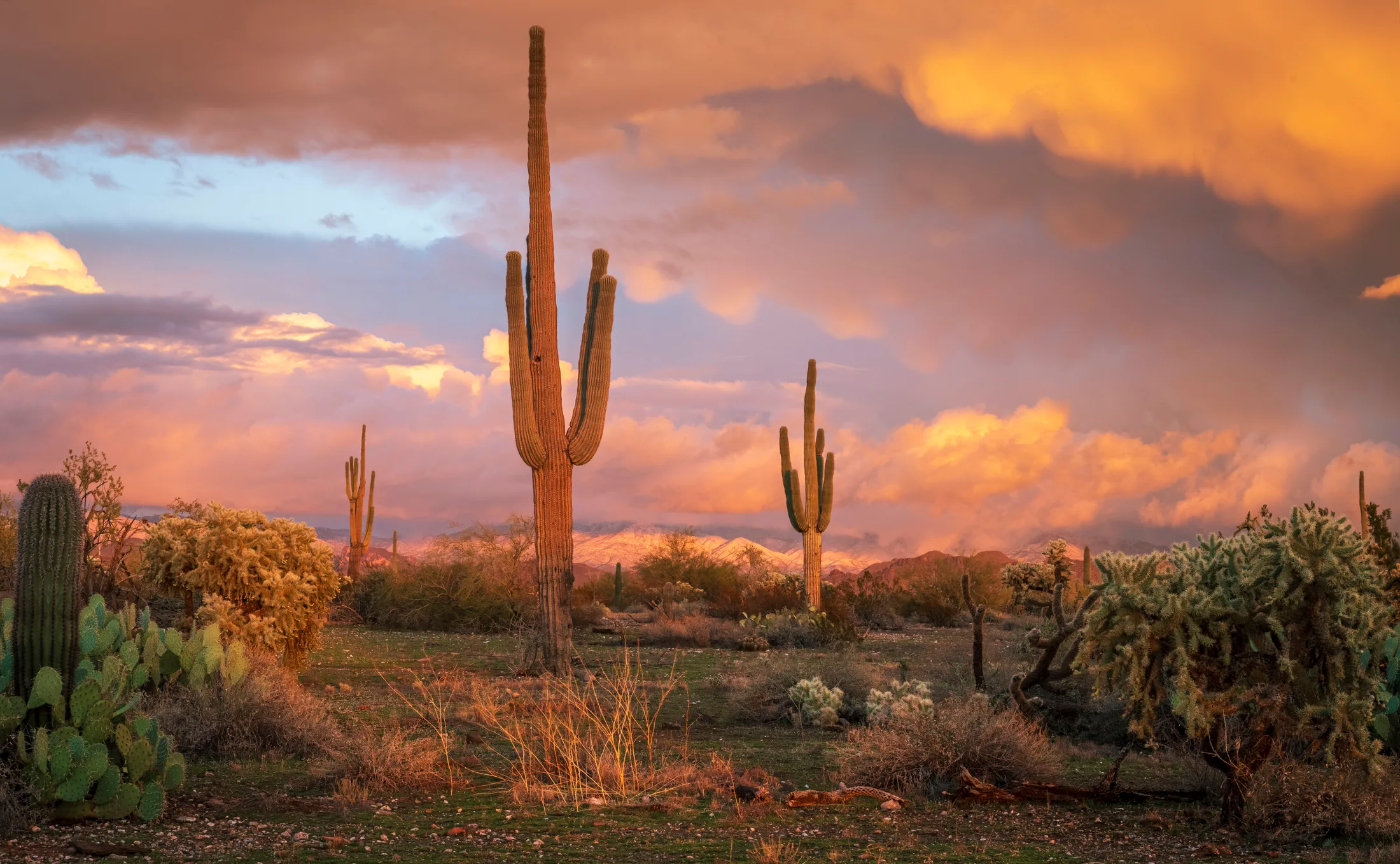 Hwy 79 Florence Arizona, snow, a fine art photograph by Michael Joseph Baca, Casa de Baca Studios, Florence, Arizona