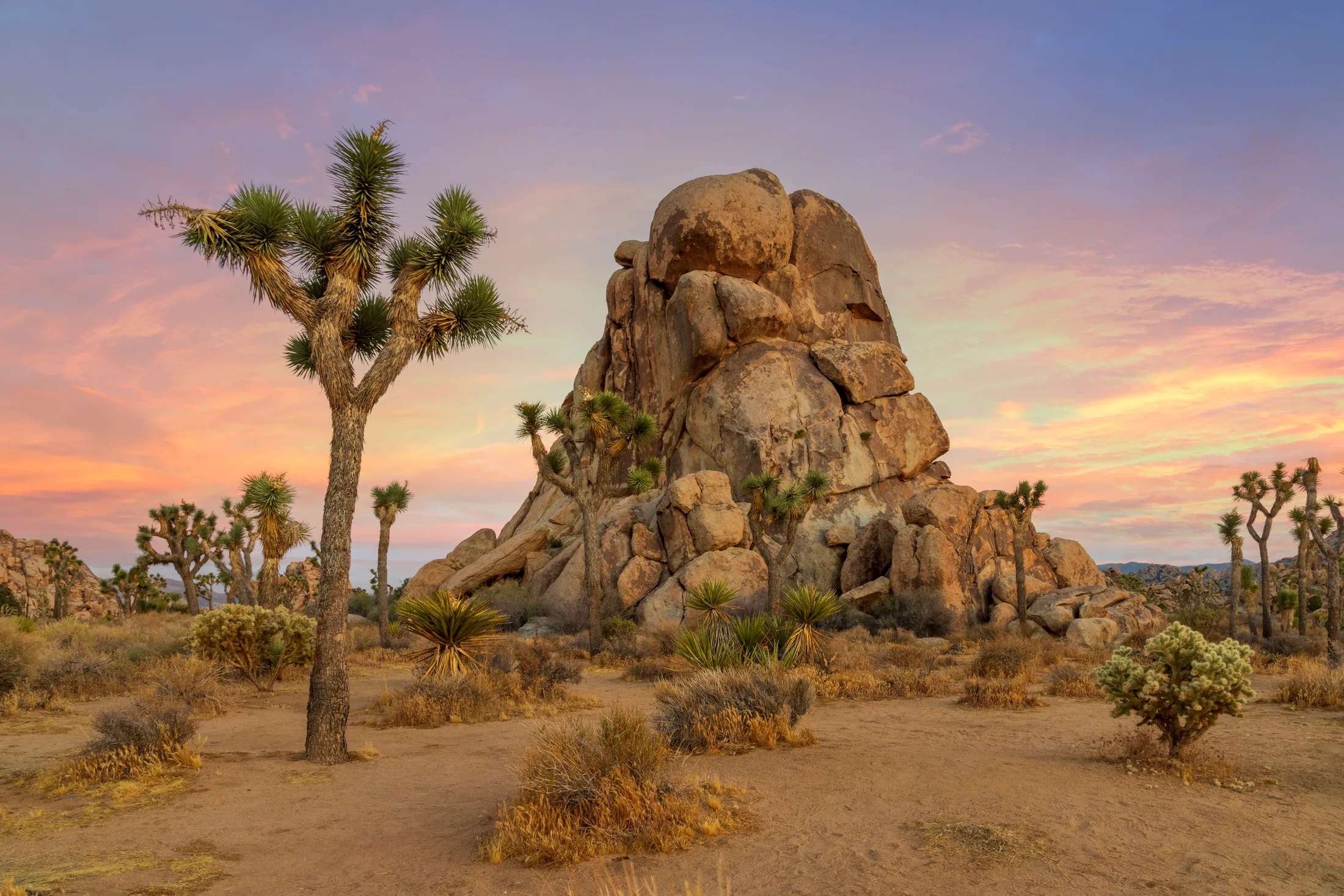 Joshua Tree National Park CA, sunset and sunrise, a fine art photograph by Michael Joseph Baca