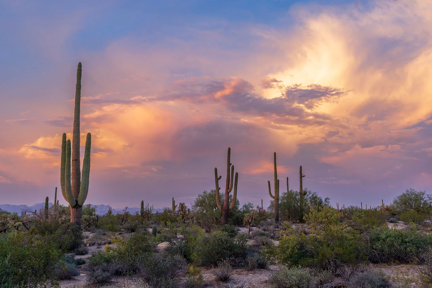 JS051 Whitlow Ranch Road Sunset by Janell Evelyn Baca, Casa de Baca Studios, Florence, Arizona