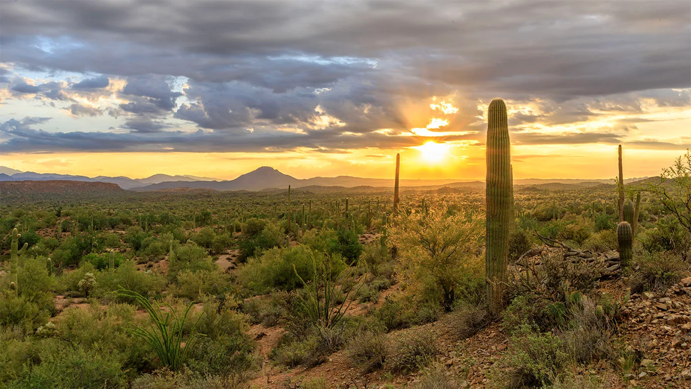 JS053 Grayback Desert Sunrise Florence Arizona, sunset and sunrise by Janell Evelyn Baca