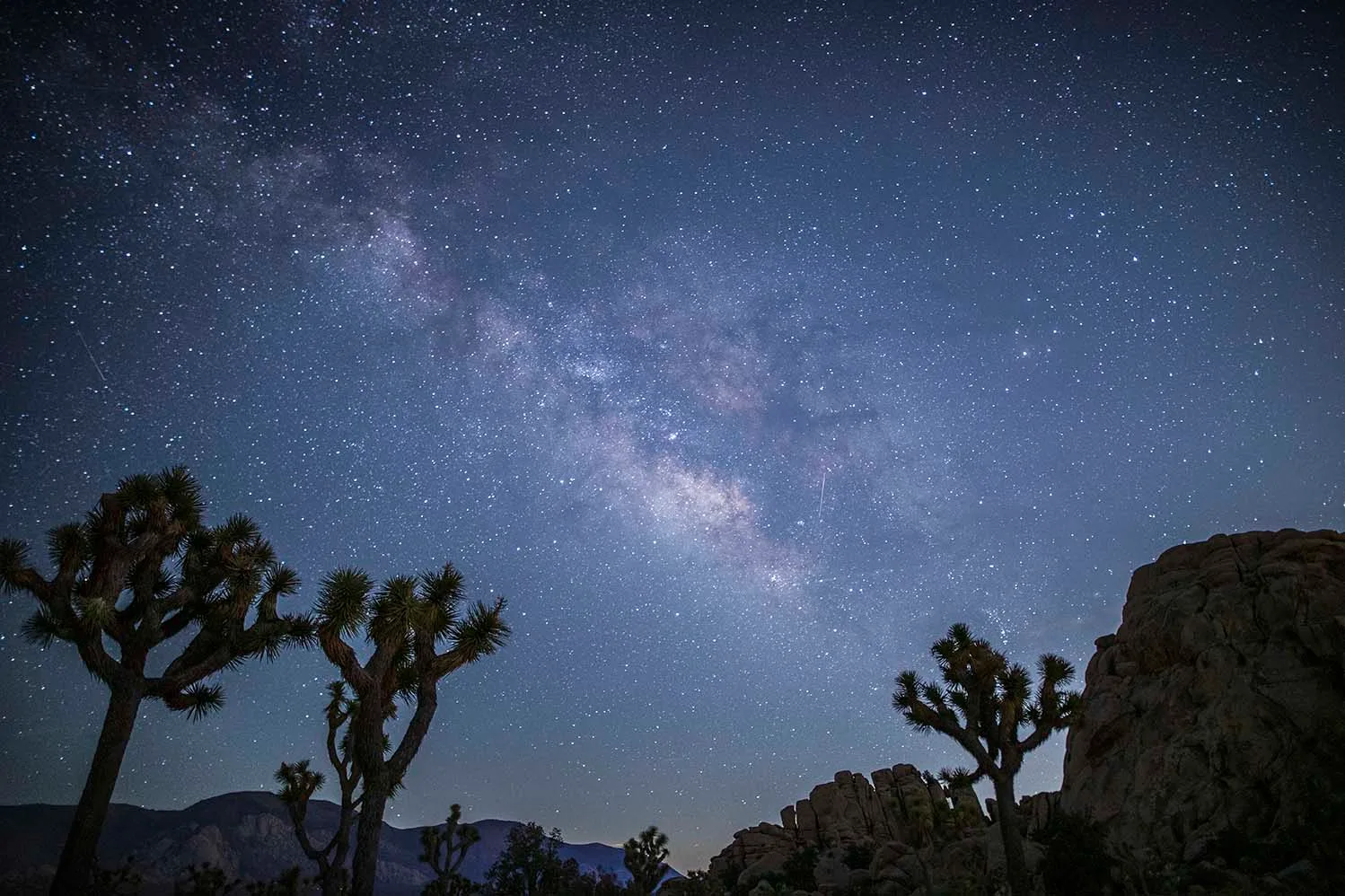 Milky Way at Joshua Tree National Forest, a fine art photograph by Janell Evelyn Baca