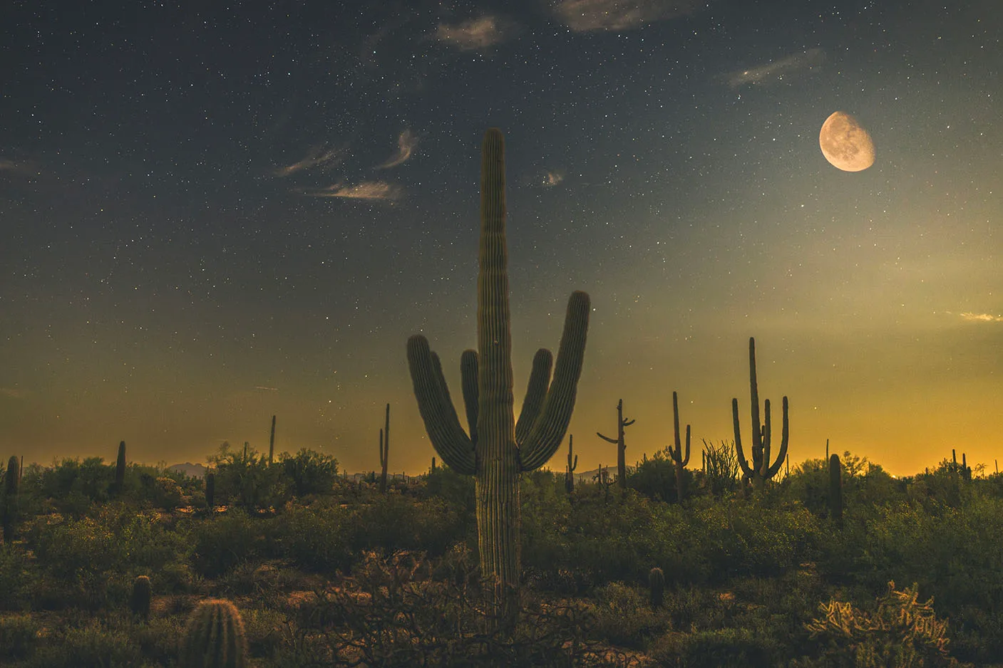 MMN (41) Saguaro & Moon Florence Arizona by Michael Joseph Baca, Casa de Baca Studios, Florence, Arizona