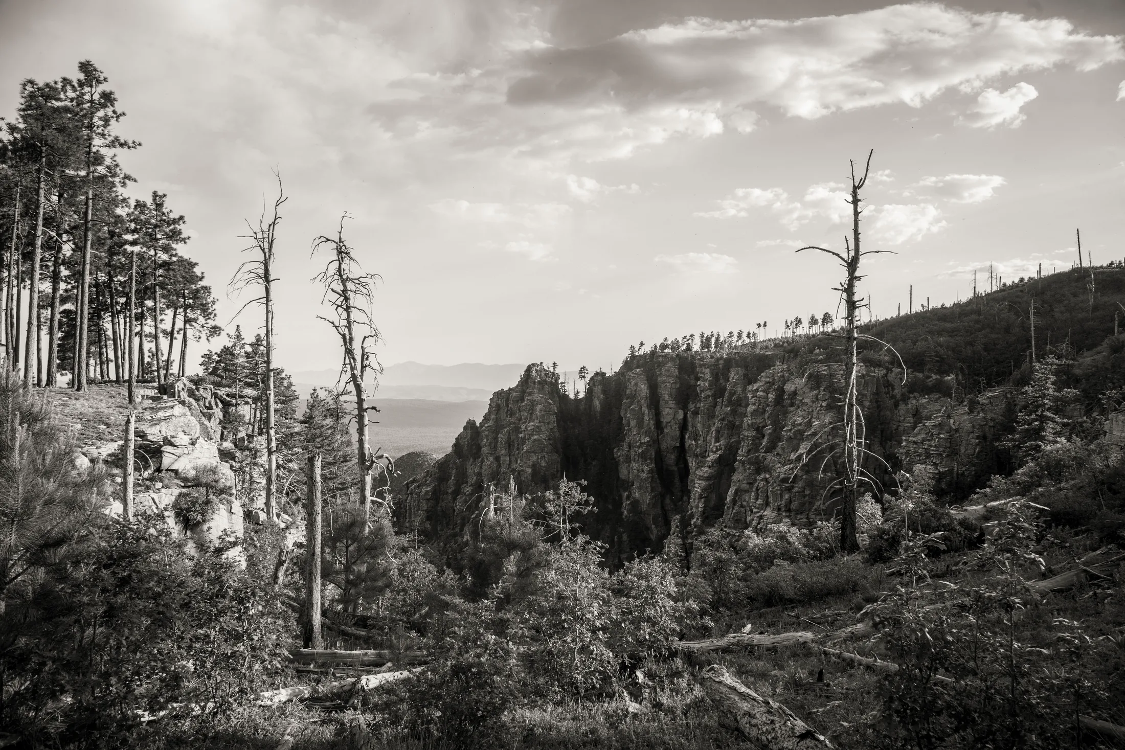 Mogollon Rim Arizona, landscape, a fine art photograph by Michael Joseph Baca, Casa de Baca Studios, Florence, Arizona