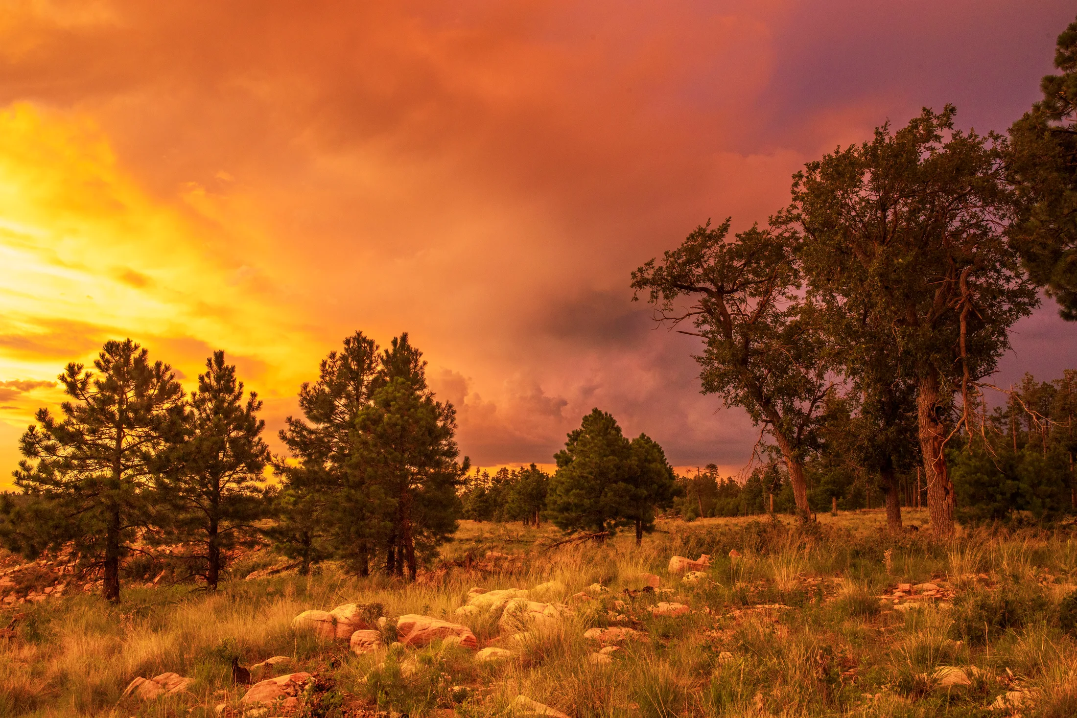 Mogollon Rim Payson AZ, sunset and sunrise, a fine art photograph by Michael Joseph Baca
