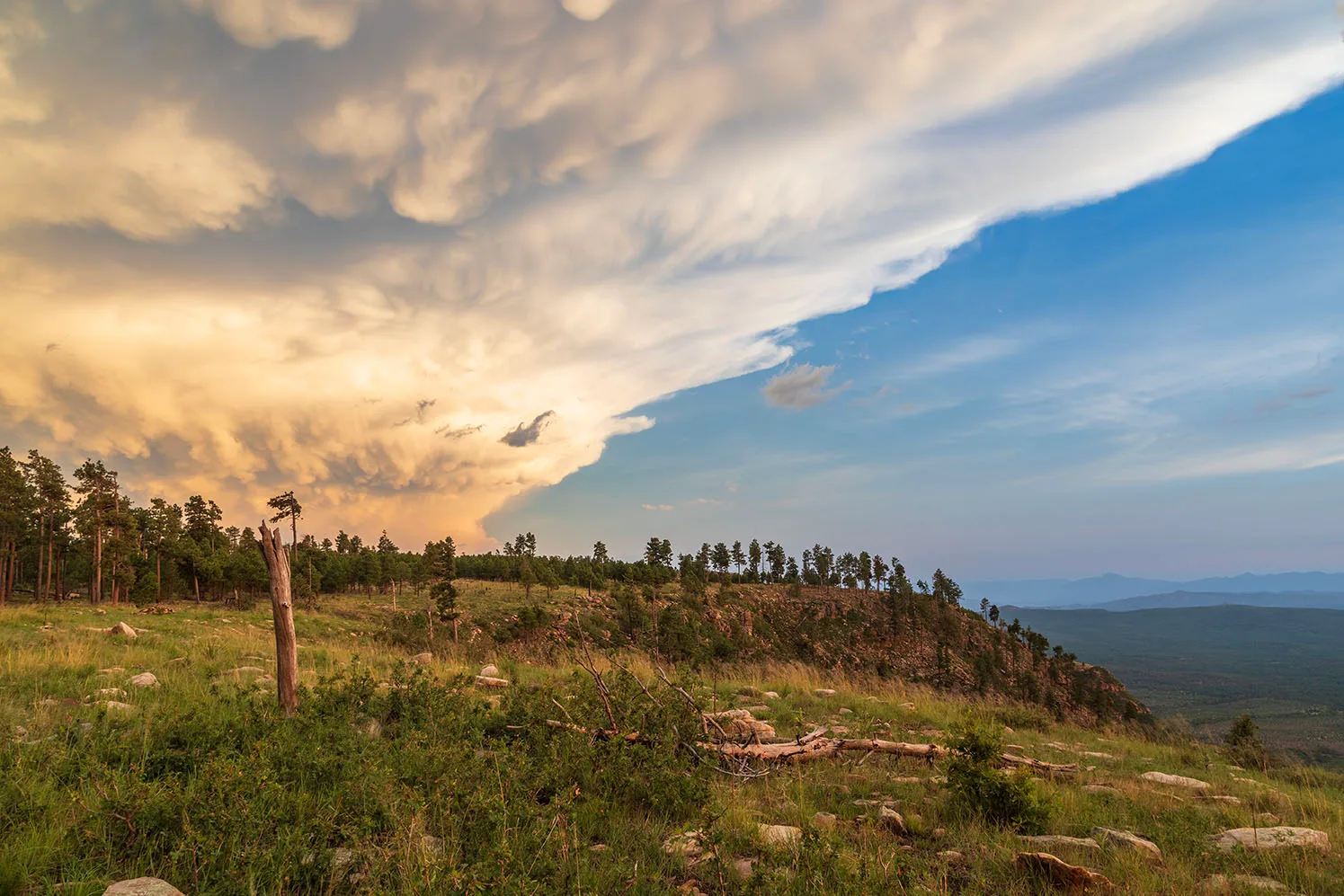 Mogollon Rim, landscape, a fine art photograph by Janell Evelyn Baca, Casa de Baca Studios, Florence, Arizona