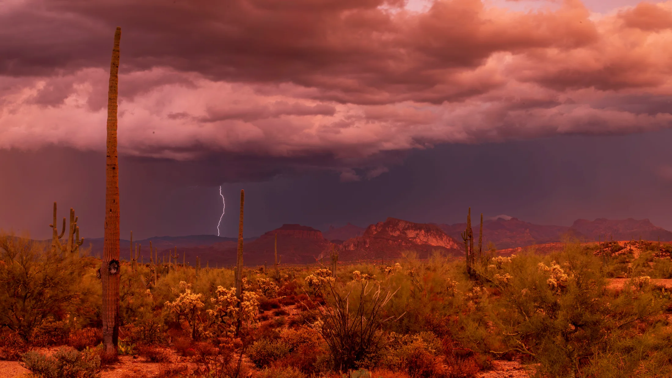 Monsoon Florence, lightning, a fine art photograph by Michael Joseph Baca, Casa de Baca Studios, Florence, Arizona