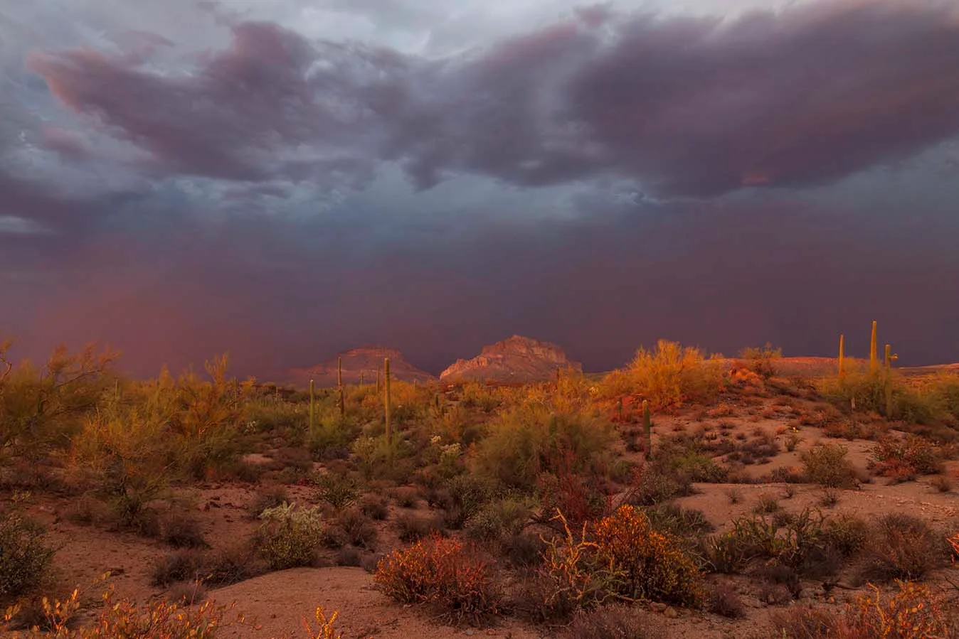 Monsoon Storm Whitlow Ranch Rd with the Buttes, sunset and sunrise, a fine art photograph by Janell Evelyn Baca