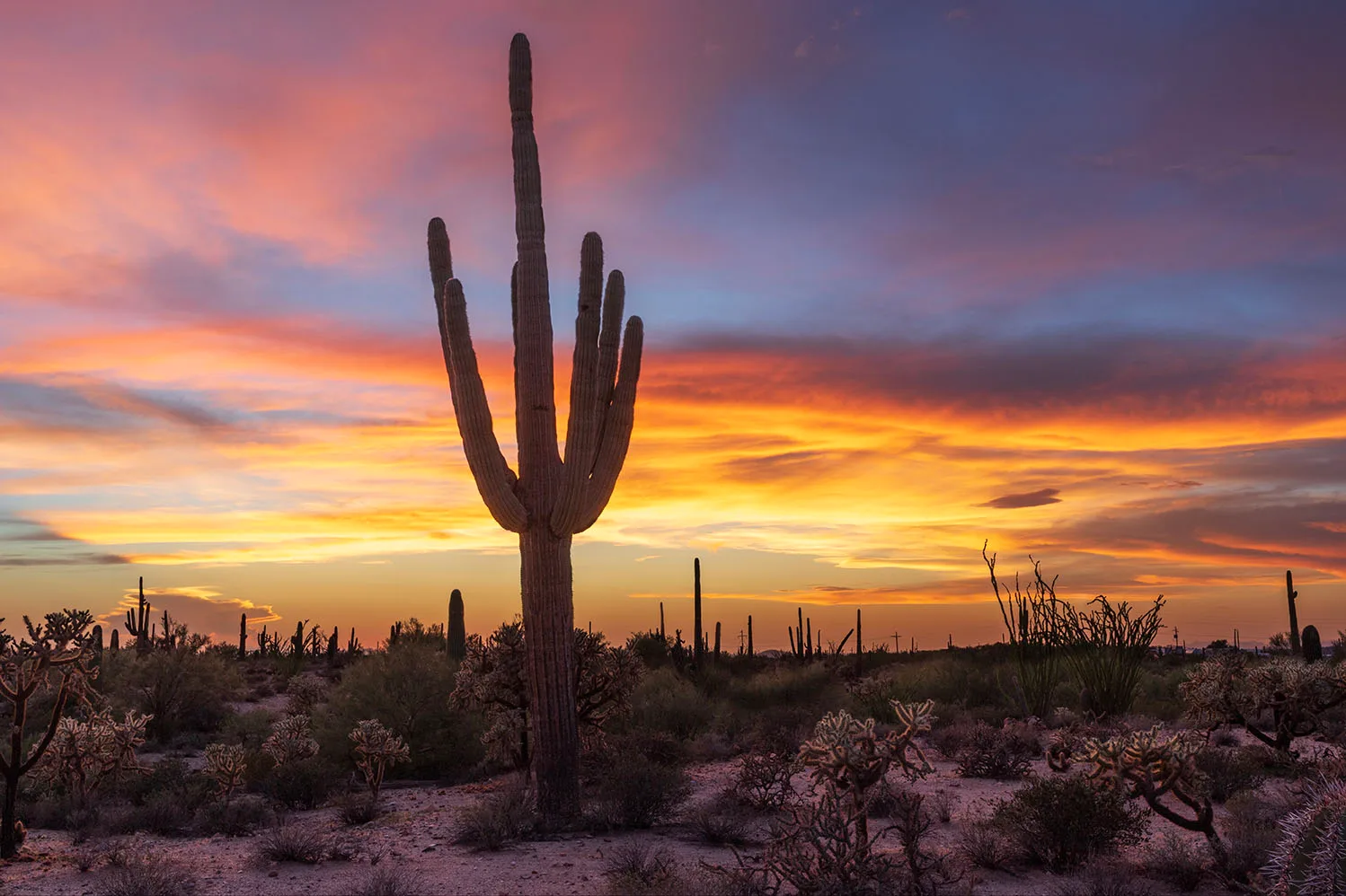Monsoon Sunset Whitlow Ranch Road Florence AZ, a fine art photograph by Janell Evelyn Baca