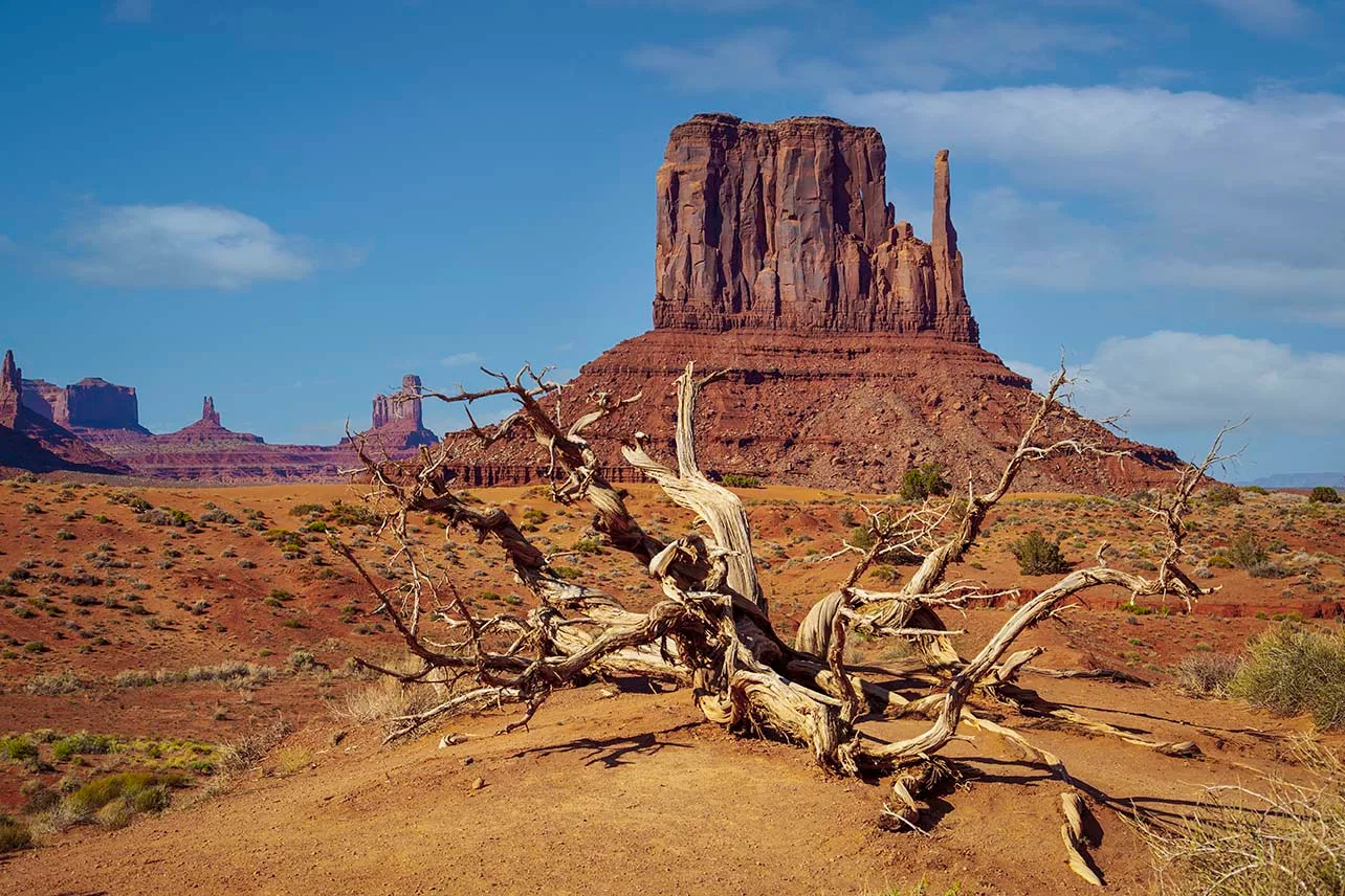 Monument Valley Navajo park mitten, landscape, a fine art photograph by Janell Evelyn Baca