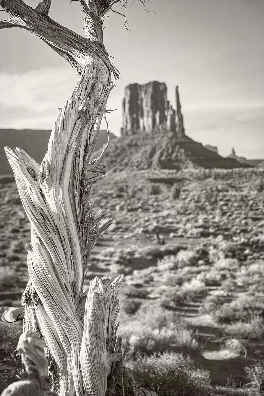 Monument Valley Navajo park mitten, landscape, a fine art photograph by Janell Evelyn Baca