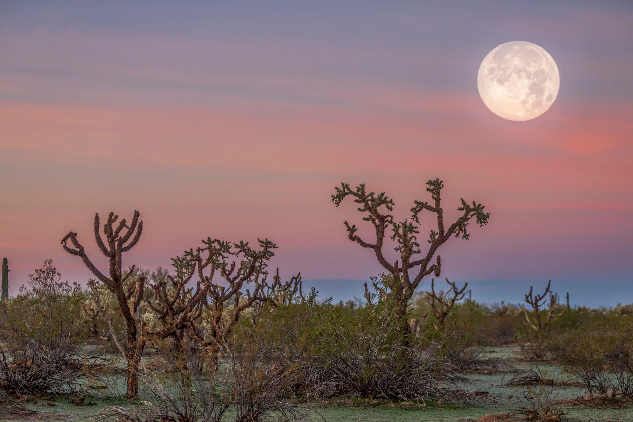 Moon Set Near Florence, a fine art photograph by Michael Joseph Baca, Casa de Baca Studios, Florence, Arizona