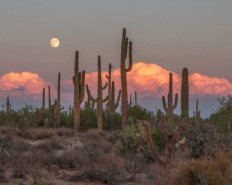 Moon Sunset Florence Kelvin Hwy, a fine art photograph by Janell Evelyn Baca, Casa de Baca Studios, Florence, Arizona