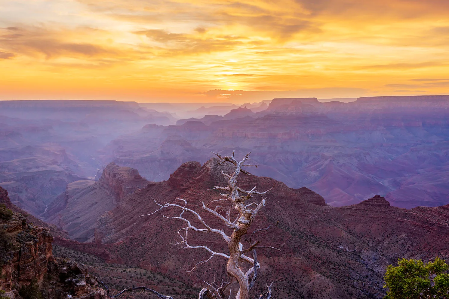 MSS (106) Grand Canyon, sunset and sunrise by Michael Joseph Baca, Casa de Baca Studios, Florence, Arizona