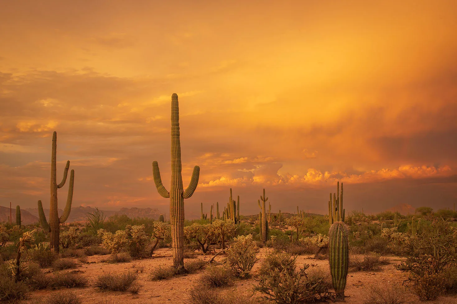 MSS (109) Florence Arizona, sunset and sunrise by Michael Joseph Baca, Casa de Baca Studios, Florence, Arizona
