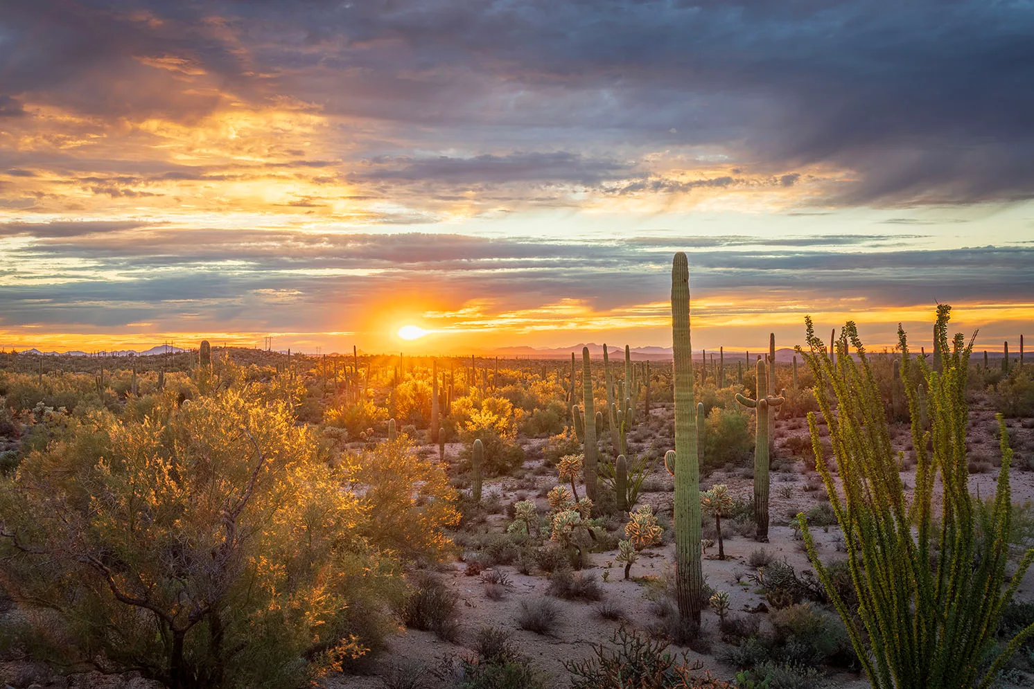 MSS (114) Sunset south of Florence Arizona by Michael Joseph Baca, Casa de Baca Studios, Florence, Arizona