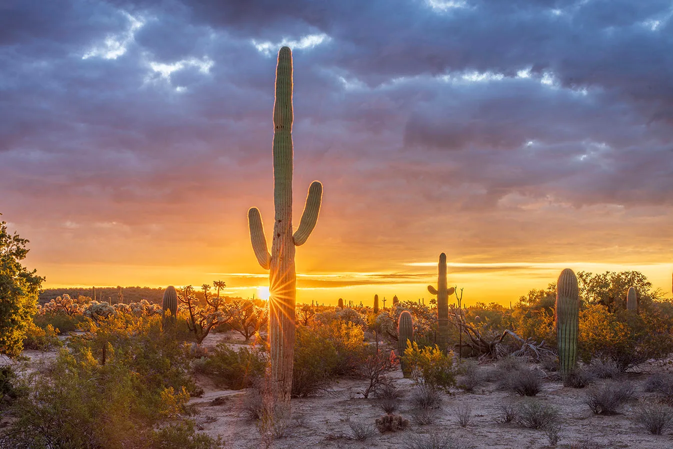 MSS (116) Florence Arizona Sunrise, sunset and sunrise by Michael Joseph Baca, Casa de Baca Studios, Florence, Arizona