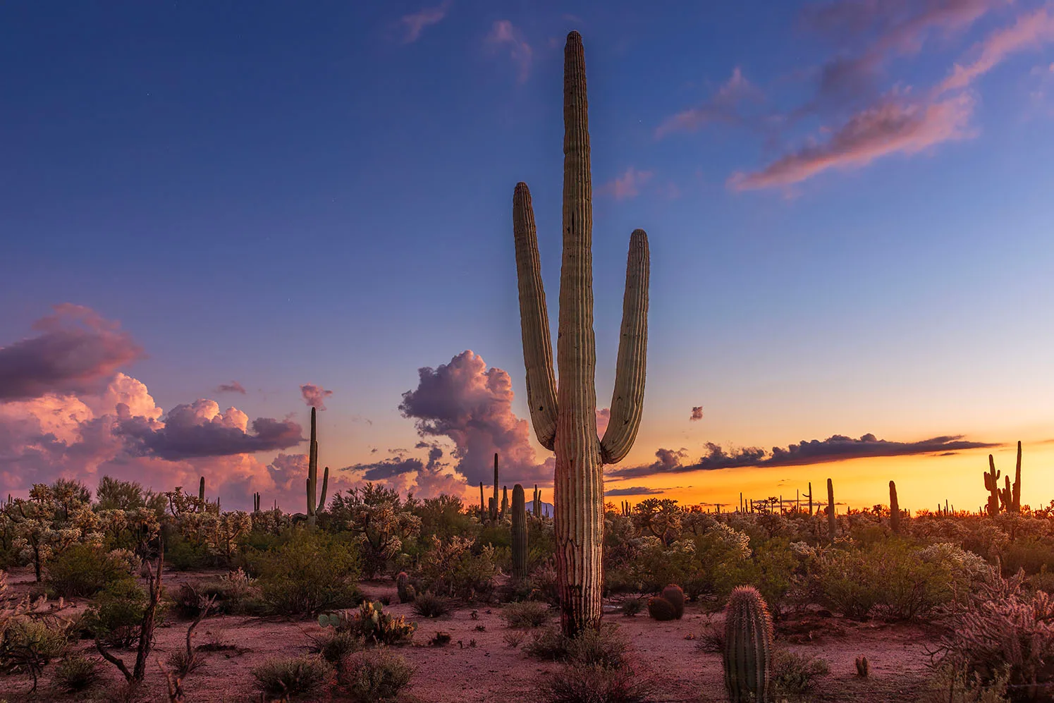 MSS (117) Sunset Florence, Arizona by Michael Joseph Baca, Casa de Baca Studios, Florence, Arizona