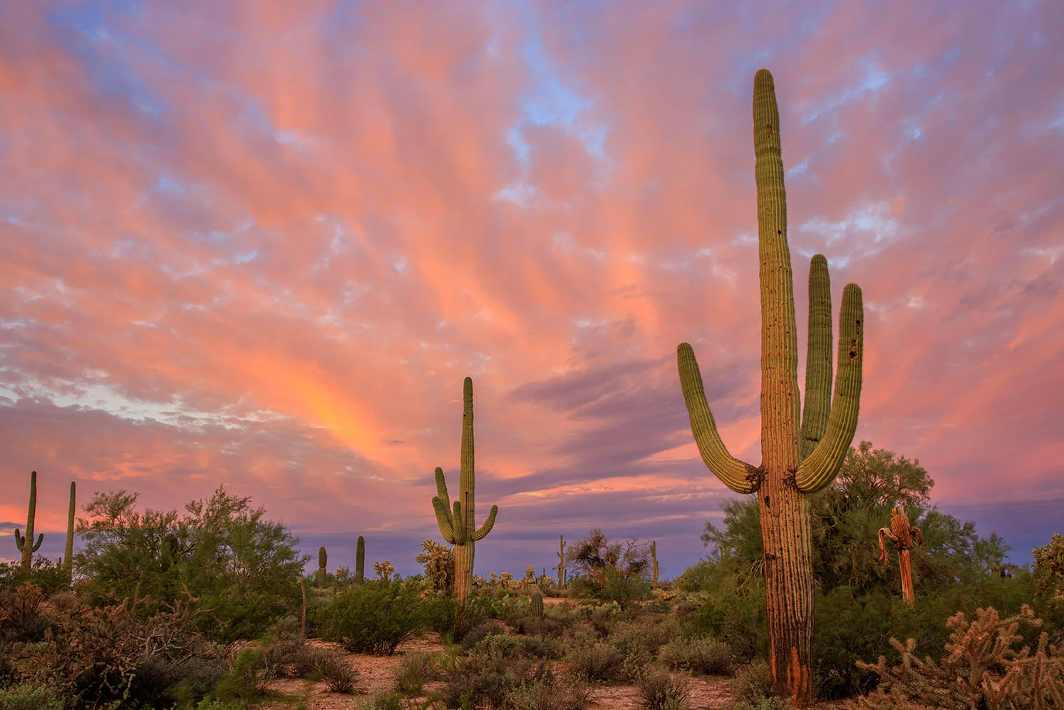 MSS (119) Florence Arizona, sunset and sunrise by Michael Joseph Baca, Casa de Baca Studios, Florence, Arizona