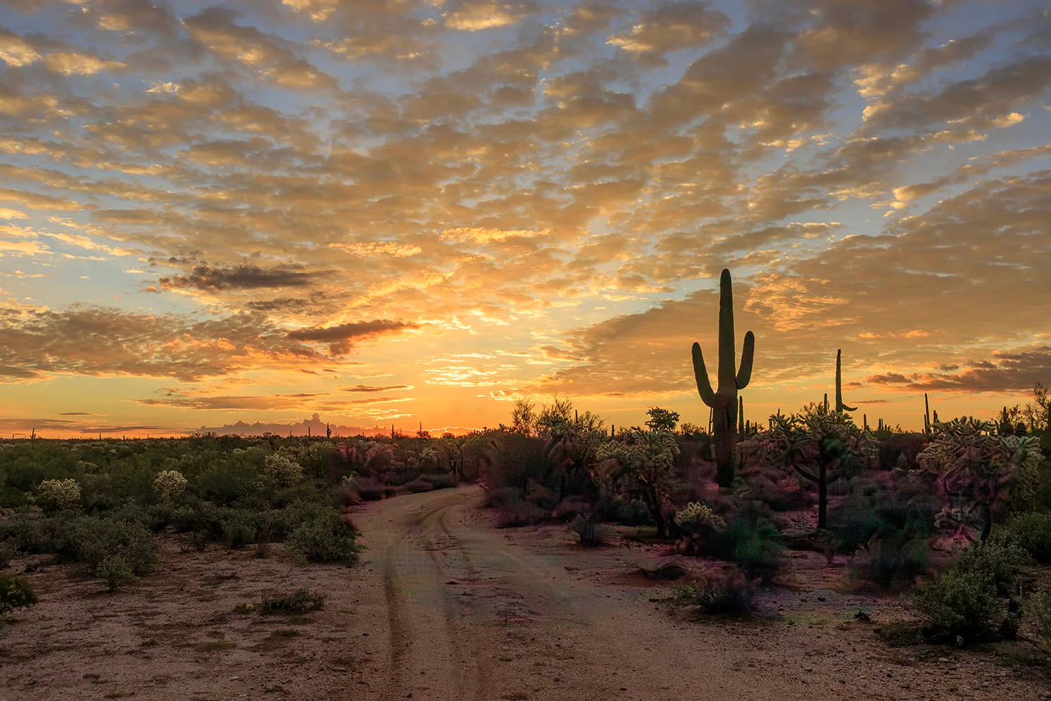MSS (20) Florence Arizona, sunset and sunrise by Michael Joseph Baca, Casa de Baca Studios, Florence, Arizona