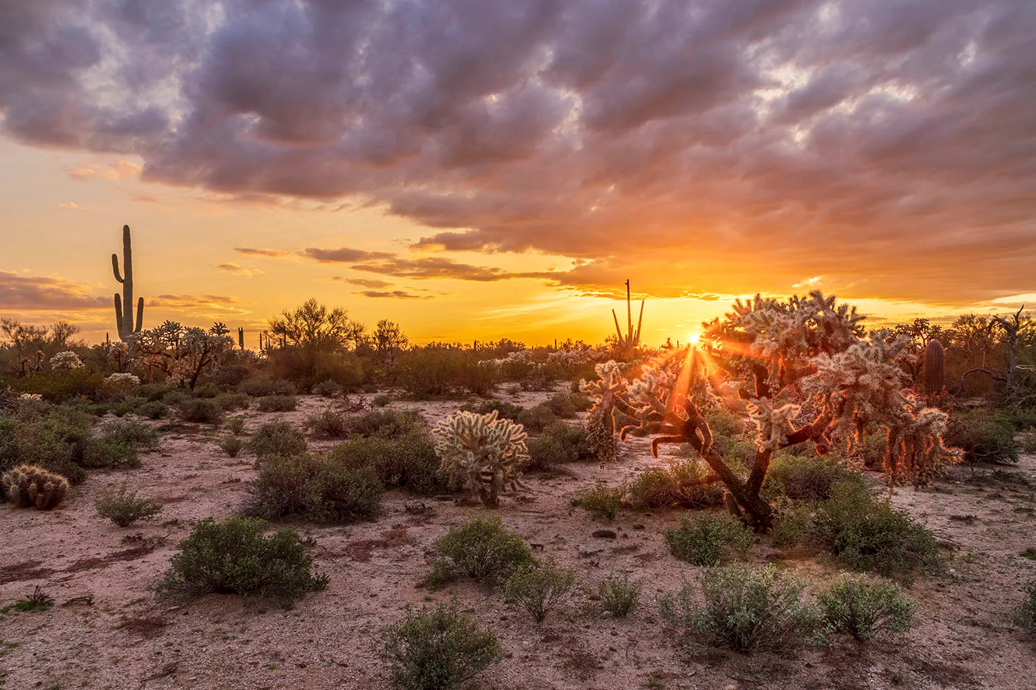 MSS (55) Florence Arizona, sunset and sunrise by Michael Joseph Baca, Casa de Baca Studios, Florence, Arizona