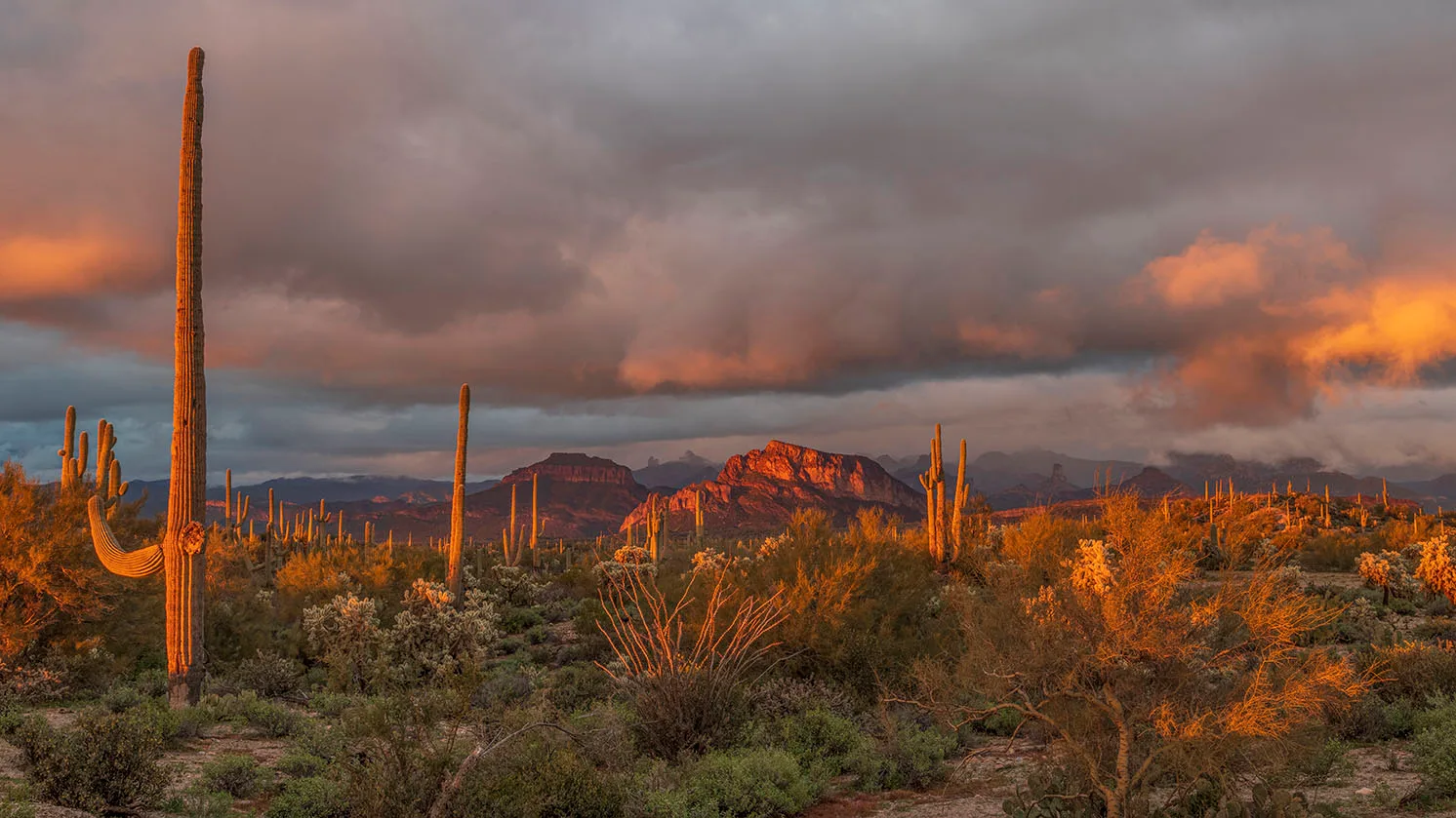 MSS (57) Florence Arizona, sunset and sunrise by Michael Joseph Baca, Casa de Baca Studios, Florence, Arizona