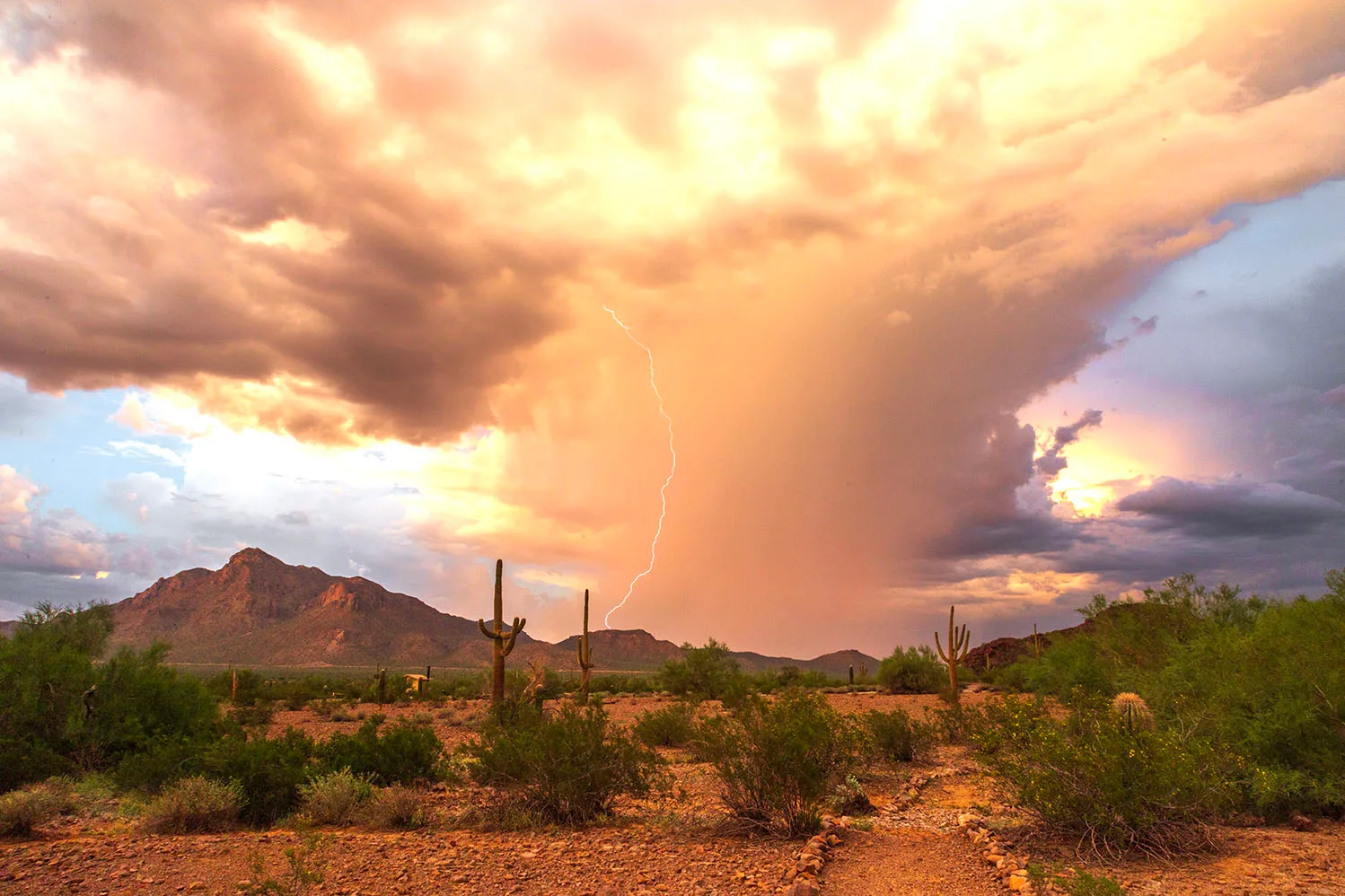 MST (83) Picacho Peak Park, lightning by Michael Joseph Baca, Casa de Baca Studios, Florence, Arizona
