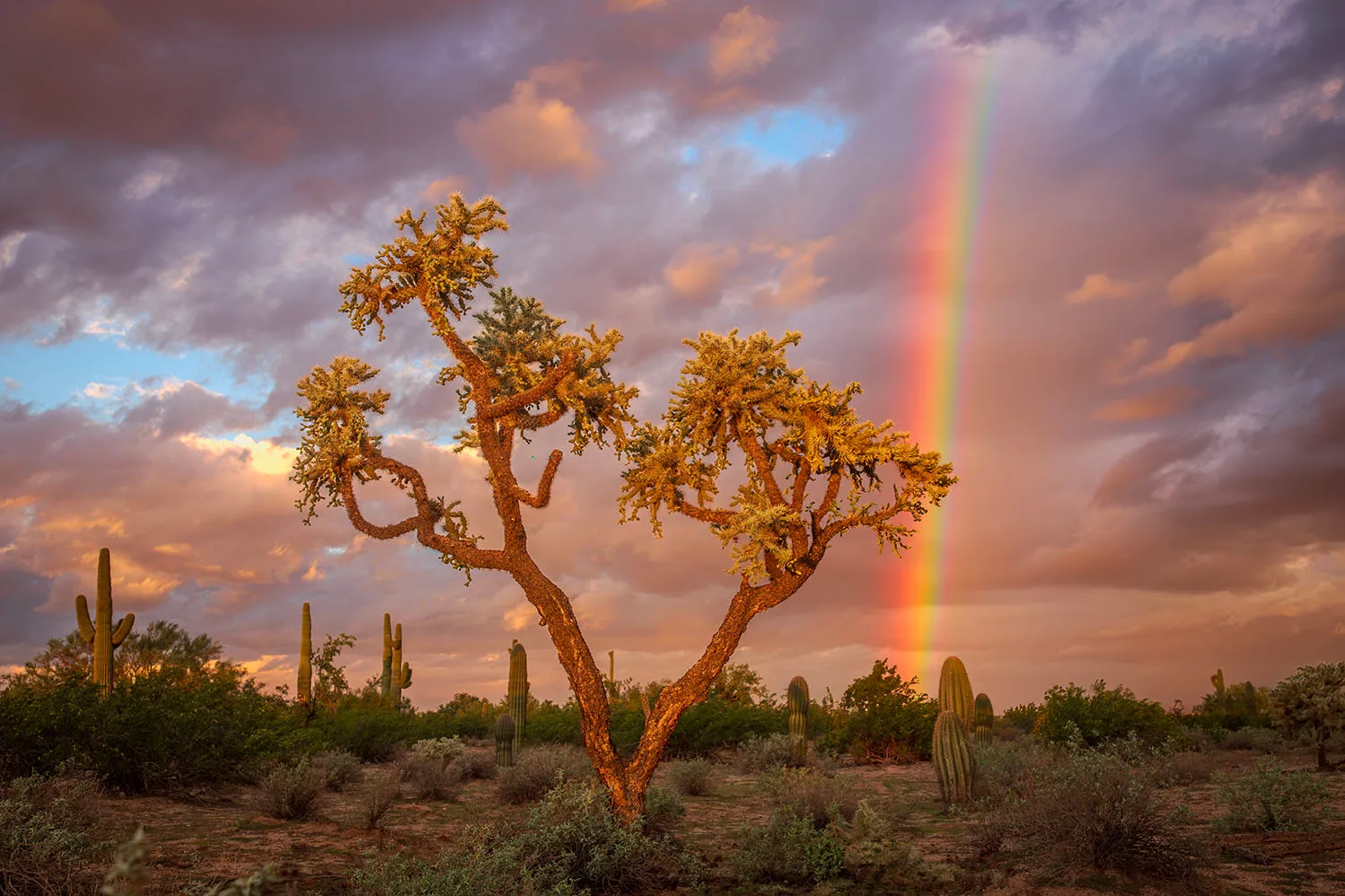 MST (87) Rainbow Florence Arizona, lightning by Michael Joseph Baca, Casa de Baca Studios, Florence, Arizona