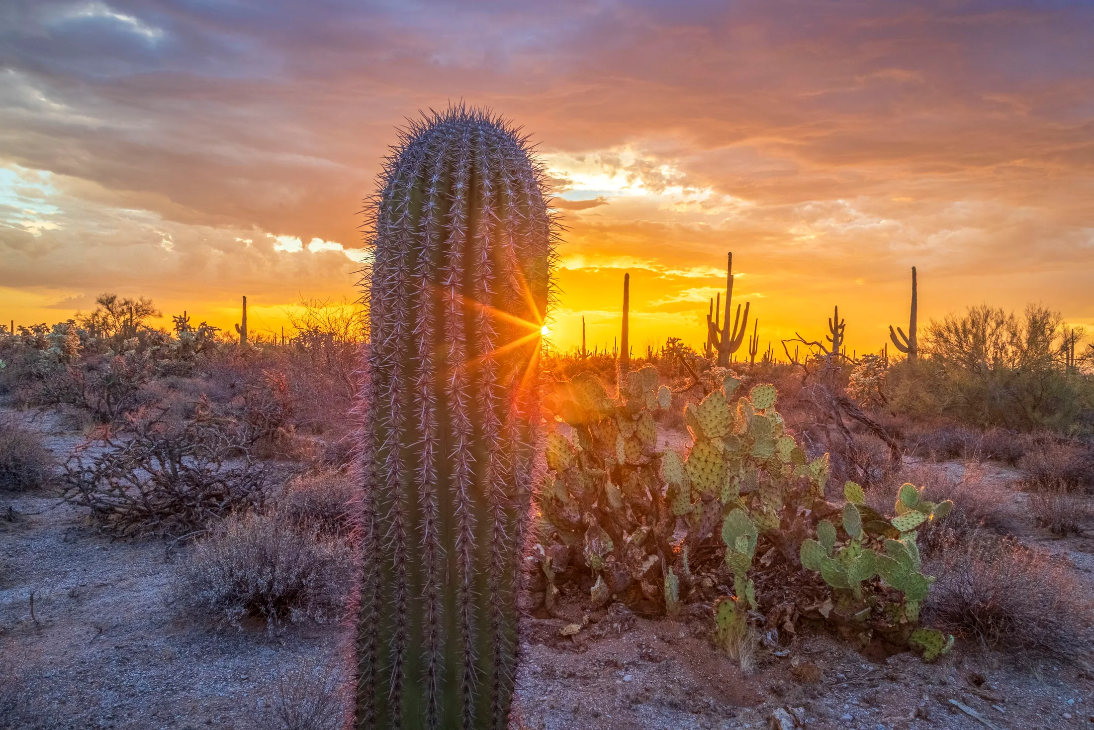 near Florence, sunset and sunrise, a fine art photograph by Michael Joseph Baca, Casa de Baca Studios, Florence, Arizona