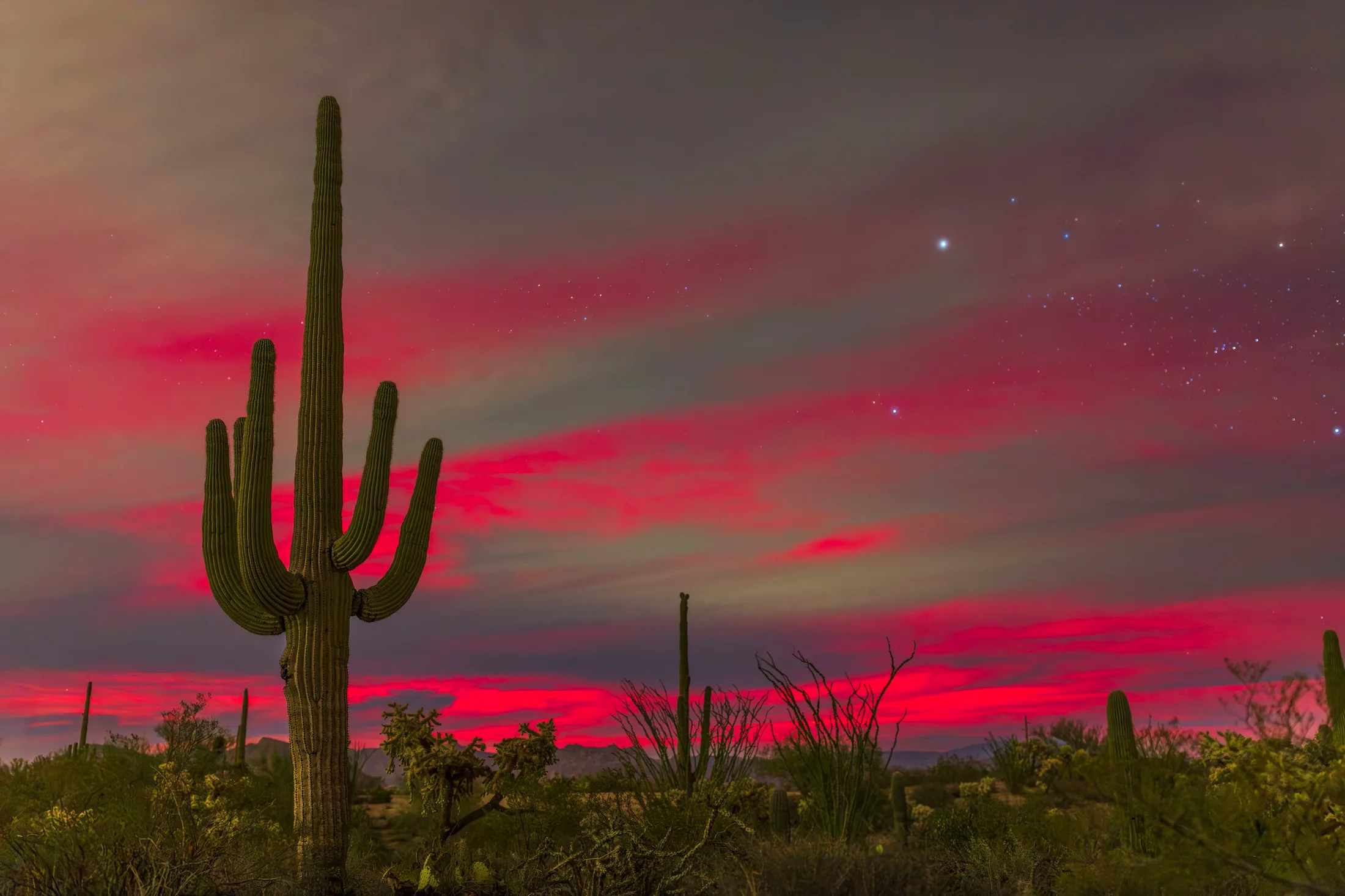 Norhtern Lights from Florence AZ, northern lights, a fine art photograph by Michael Joseph Baca