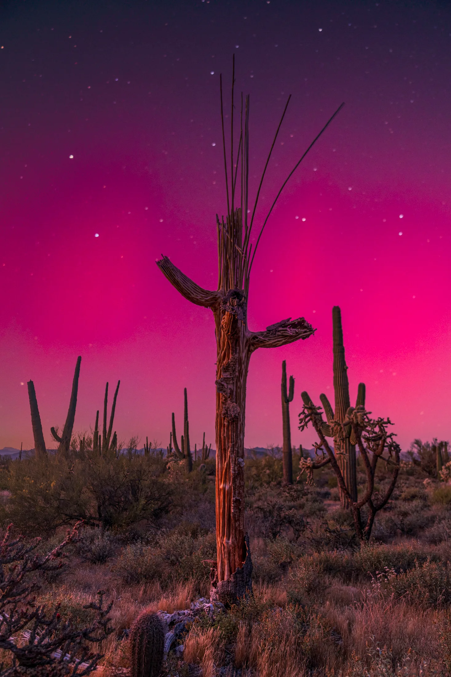 Northern Lights from Florence AZ, a fine art photograph by Michael Joseph Baca, Casa de Baca Studios, Florence, Arizona