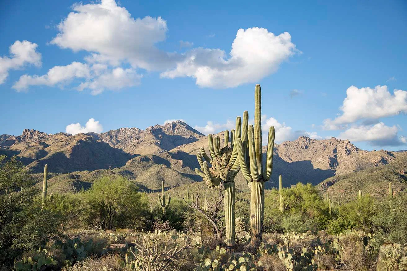 Peralta State Park, landscape, a fine art photograph by Janell Evelyn Baca, Casa de Baca Studios, Florence, Arizona