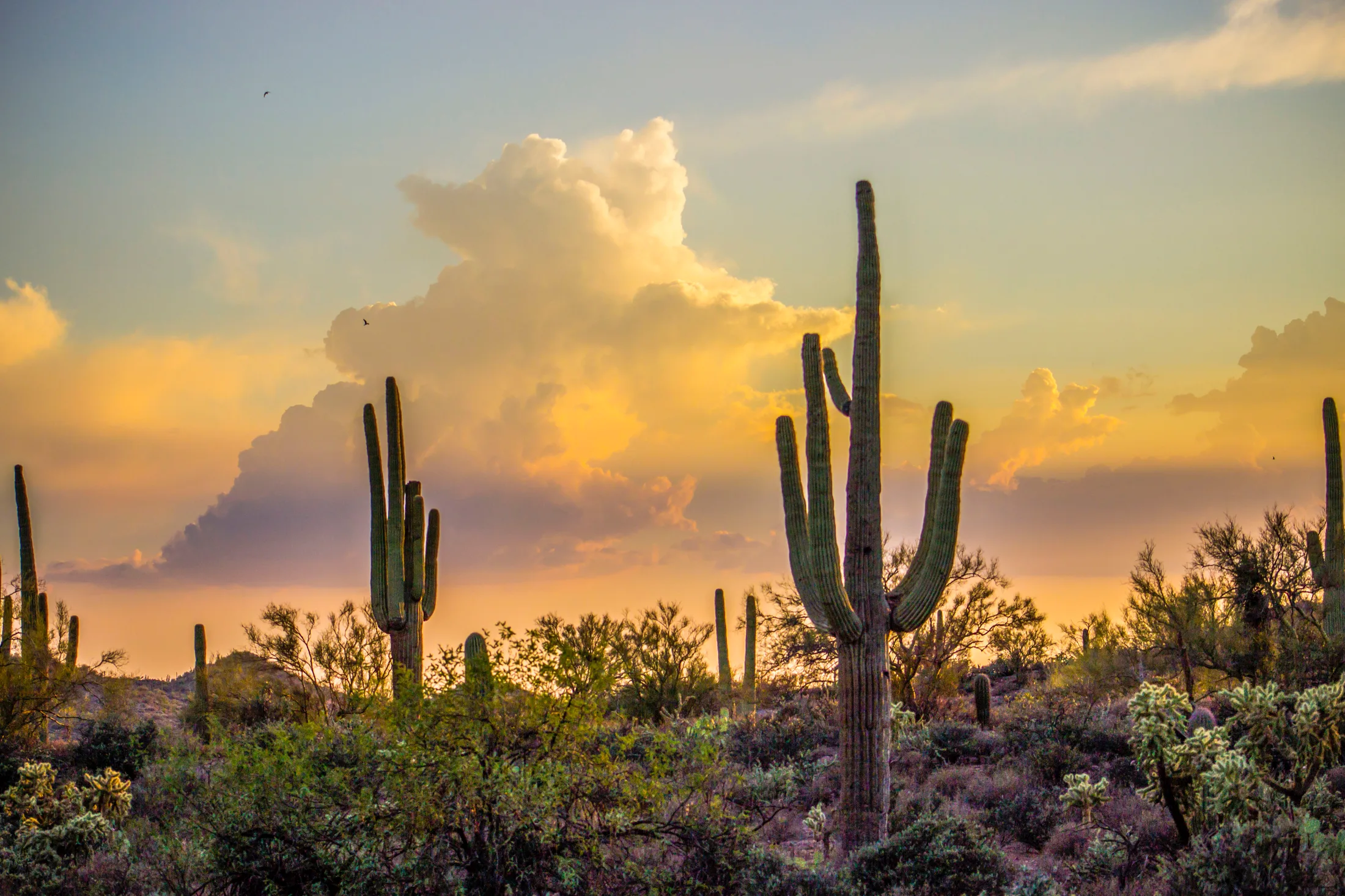 Peralta Superstition Wilderness, sunset and sunrise, a fine art photograph by Michael Joseph Baca