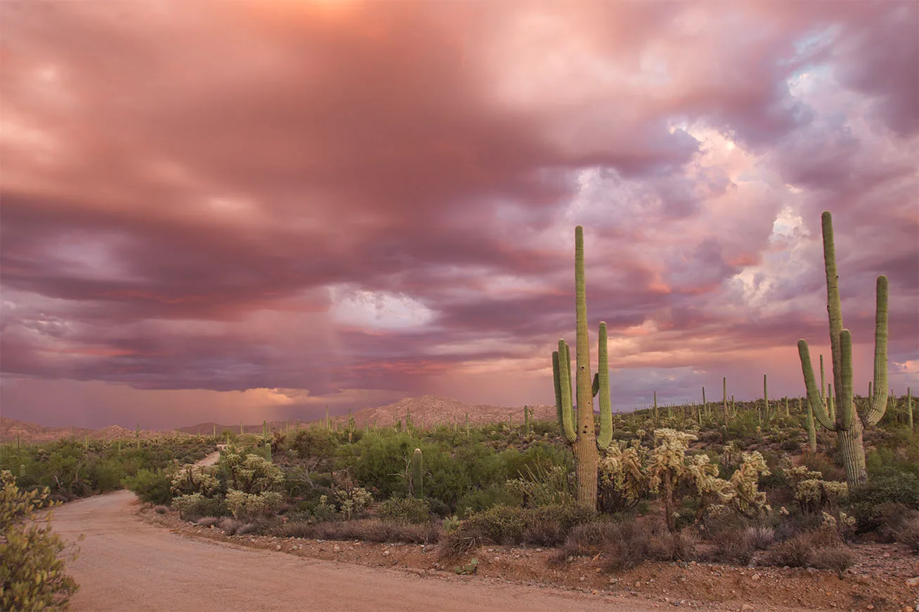 Pink Rain 96 Ranch Road Florence AZ, sunset and sunrise, a fine art photograph by Janell Evelyn Baca
