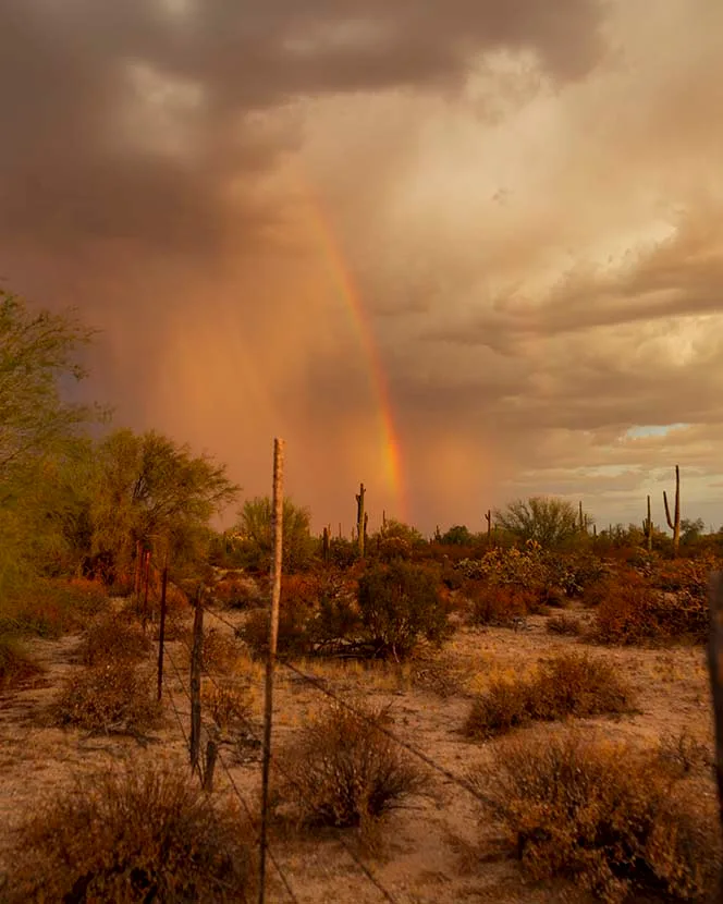 Rainbow off Butte Rd Florence, lightning, a fine art photograph by Janell Evelyn Baca