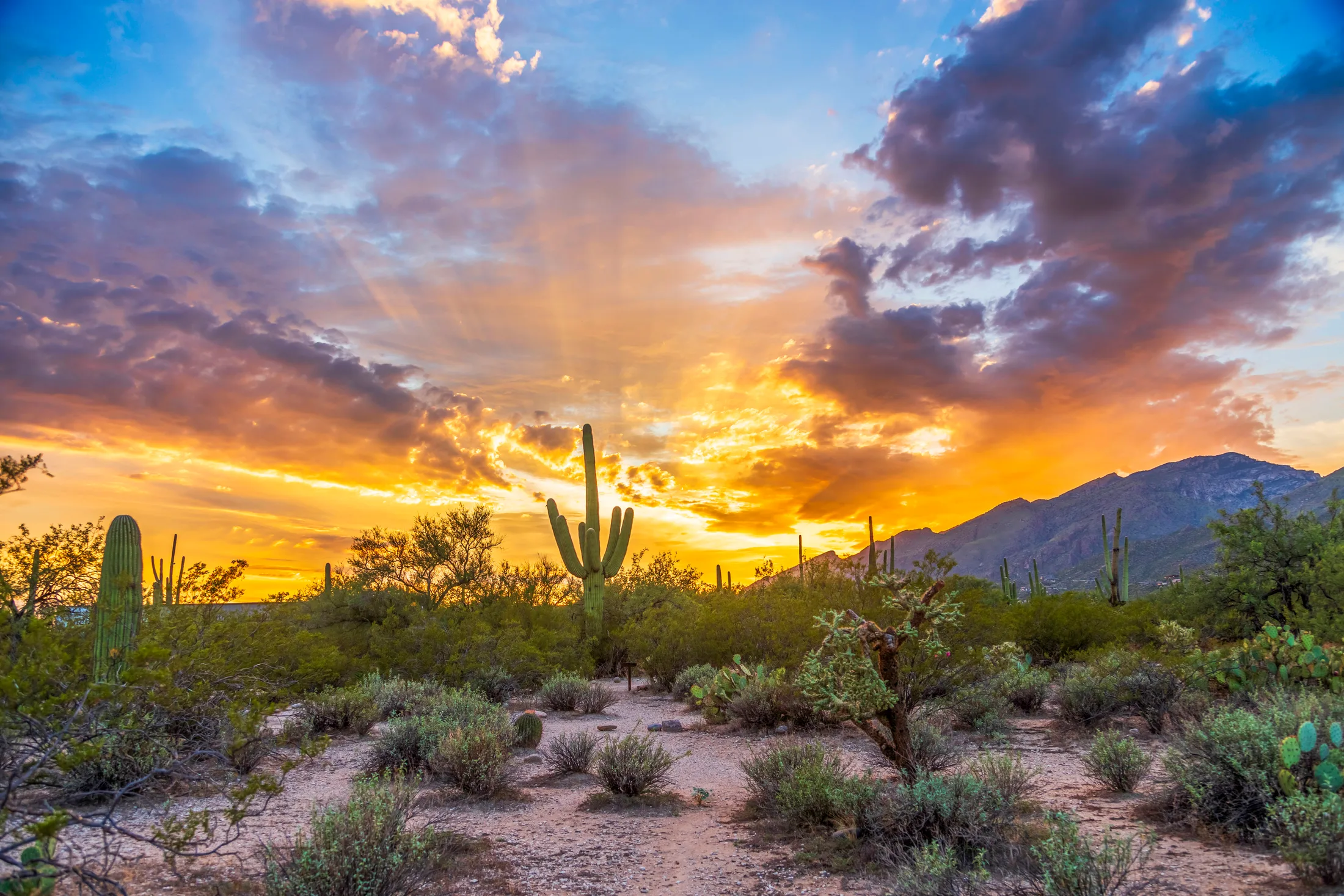 Sabino Canyon Tucson AZ, sunset and sunrise, a fine art photograph by Michael Joseph Baca