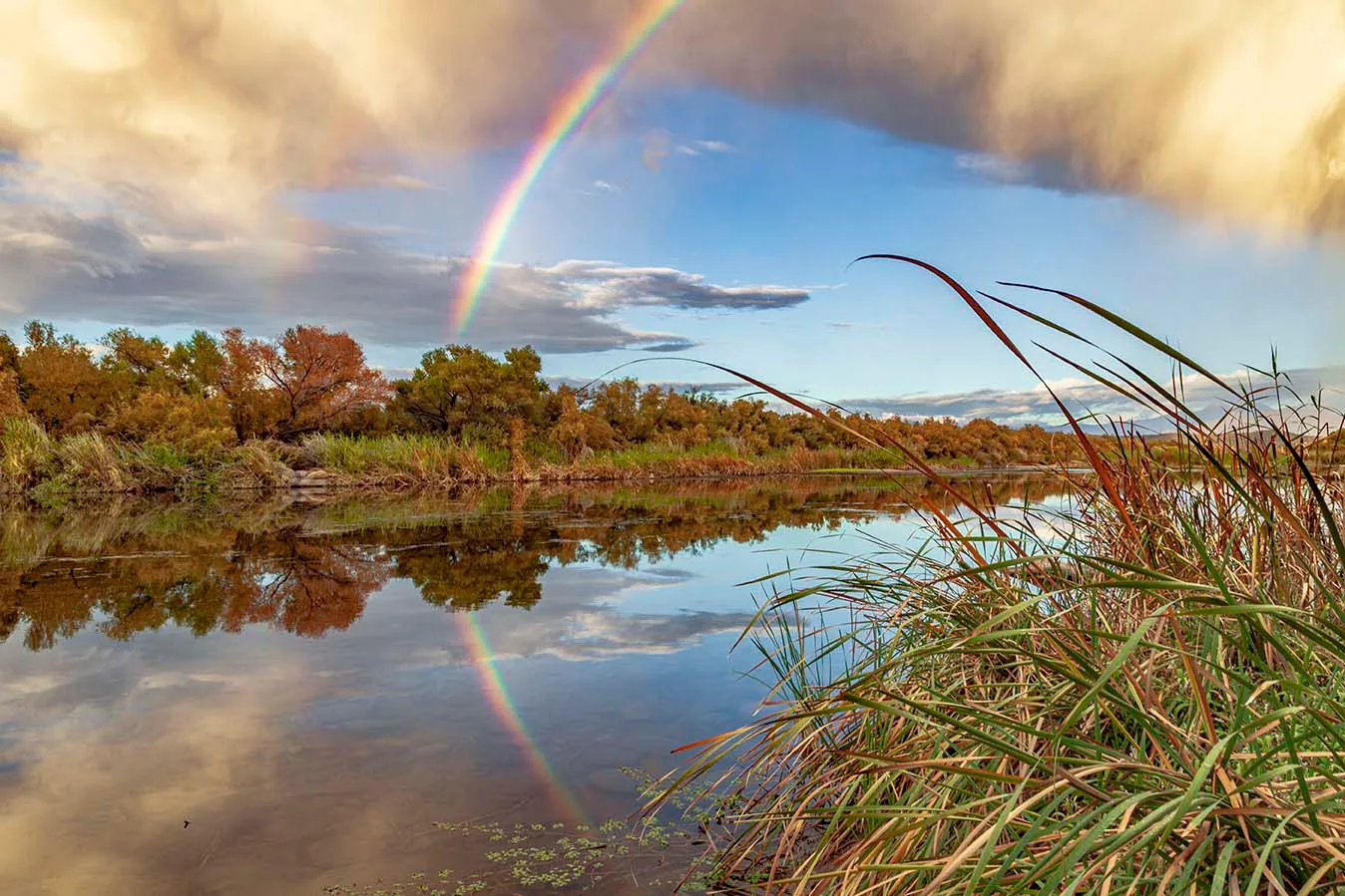 Salt River, ocean and lake and river and pier, a fine art photograph by Janell Evelyn Baca