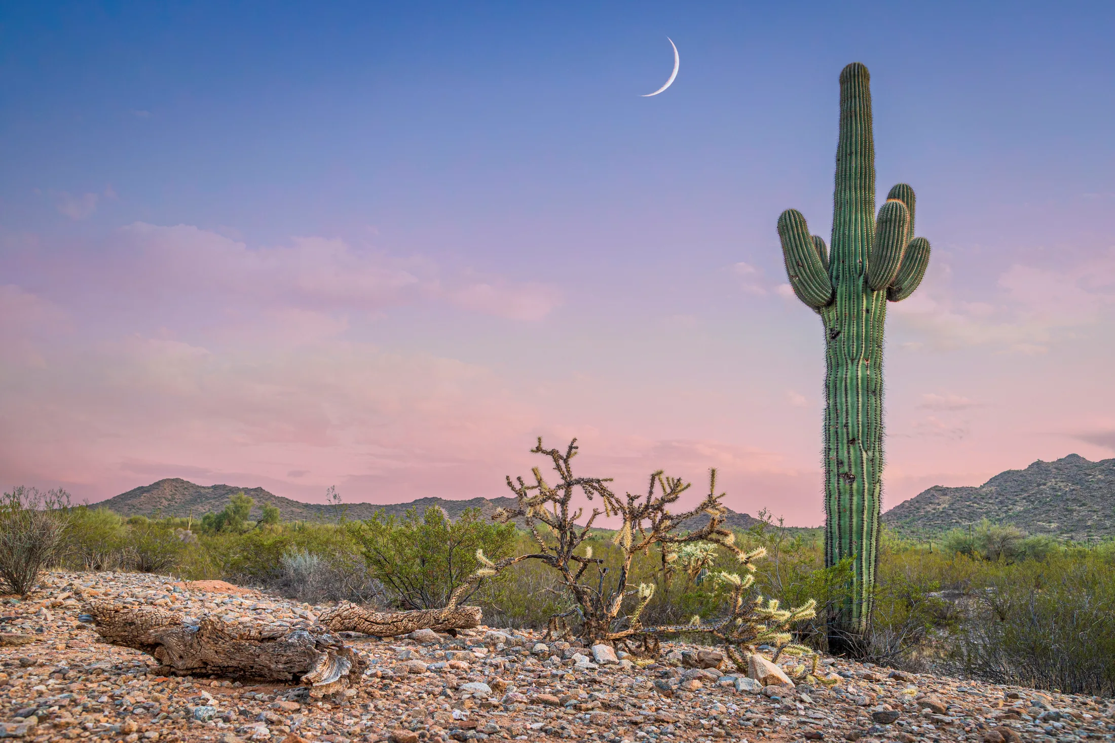 San Tan Mountain Regional Park AZ, moon, a fine art photograph by Michael Joseph Baca