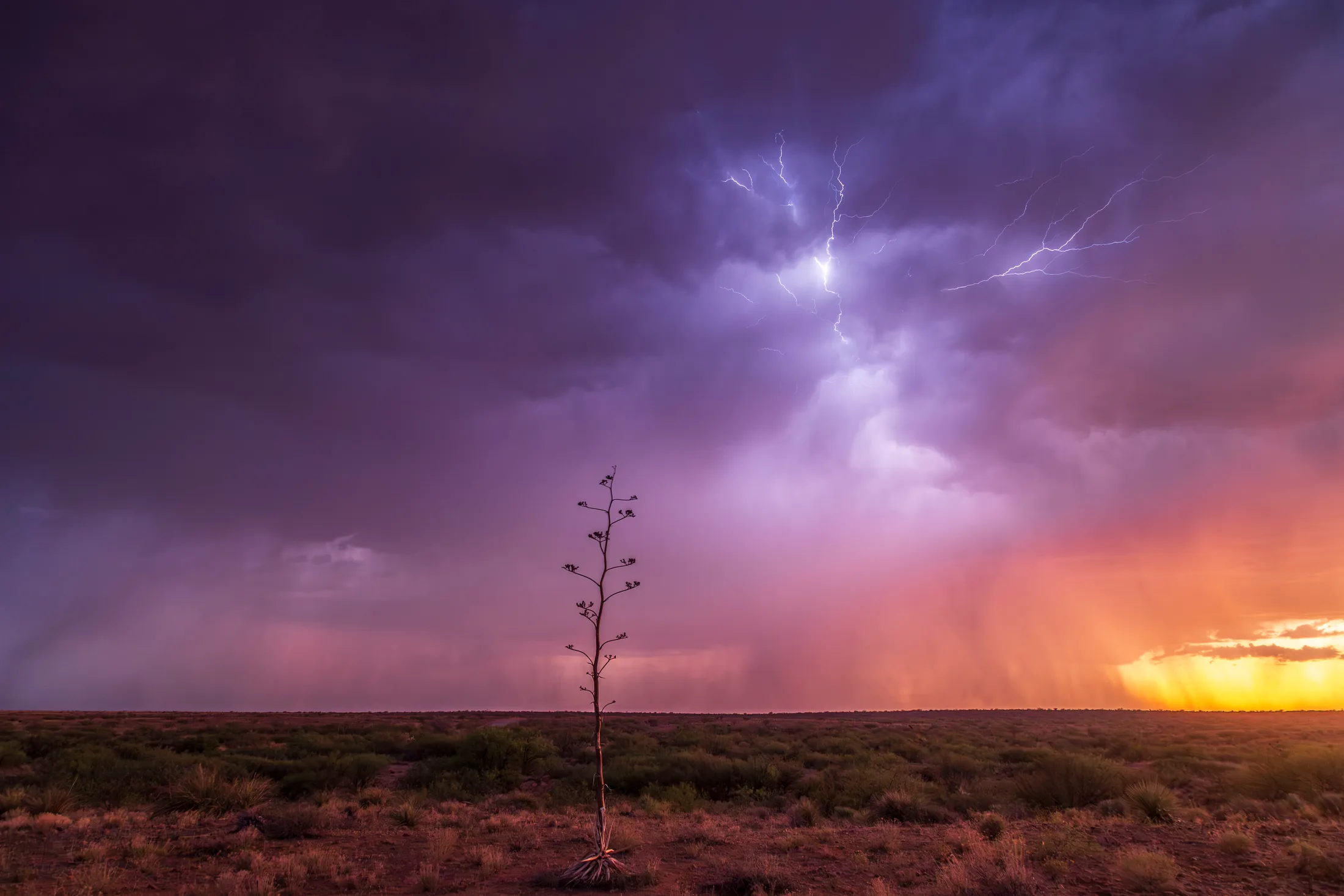 Sierra Vista area ARizona, lightning, a fine art photograph by Michael Joseph Baca, Casa de Baca Studios, Florence, Arizona