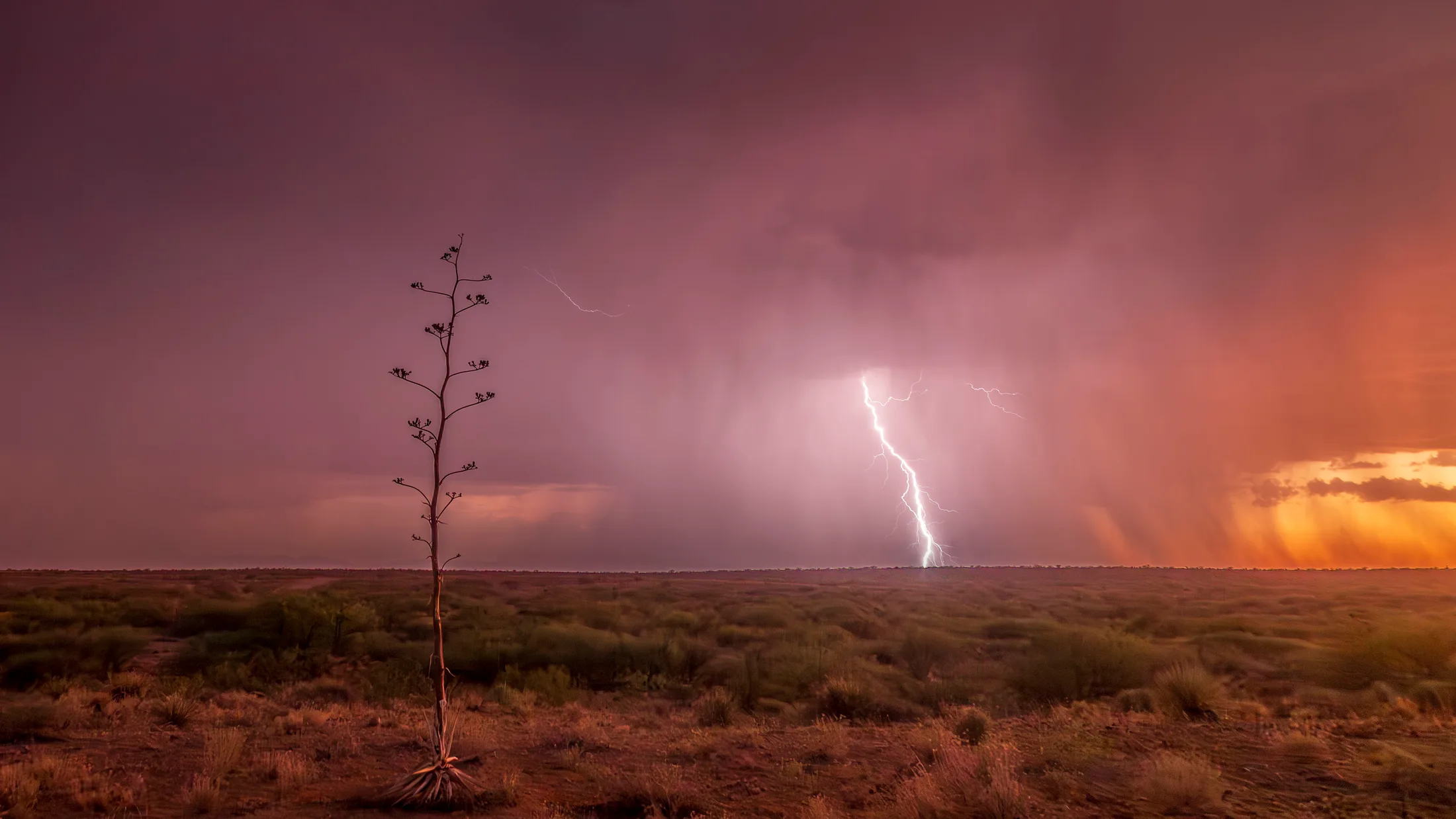 Sierra Vista Arizona, lightning, a fine art photograph by Michael Joseph Baca, Casa de Baca Studios, Florence, Arizona