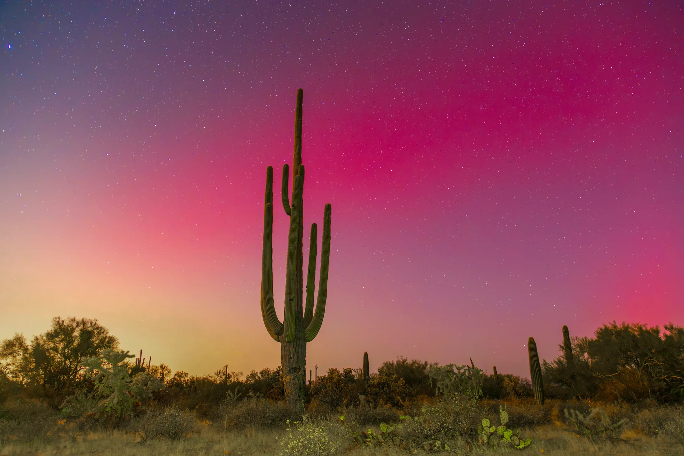 Sonoran Desert Northern Lights Florence AZ, a fine art photograph by Michael Joseph Baca