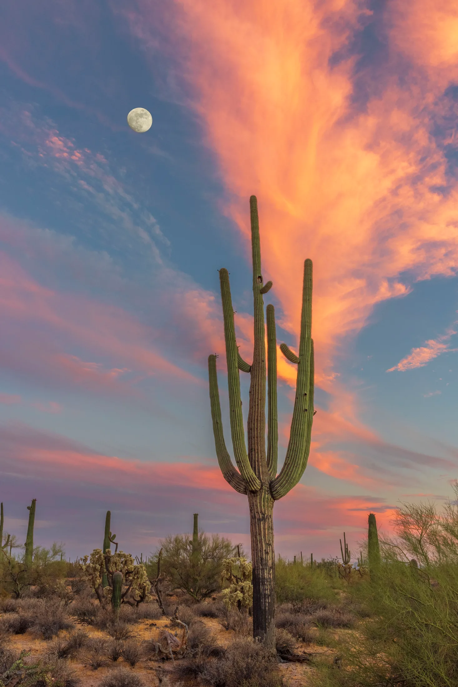 Southeast Florence AZ, moon, a fine art photograph by Michael Joseph Baca, Casa de Baca Studios, Florence, Arizona